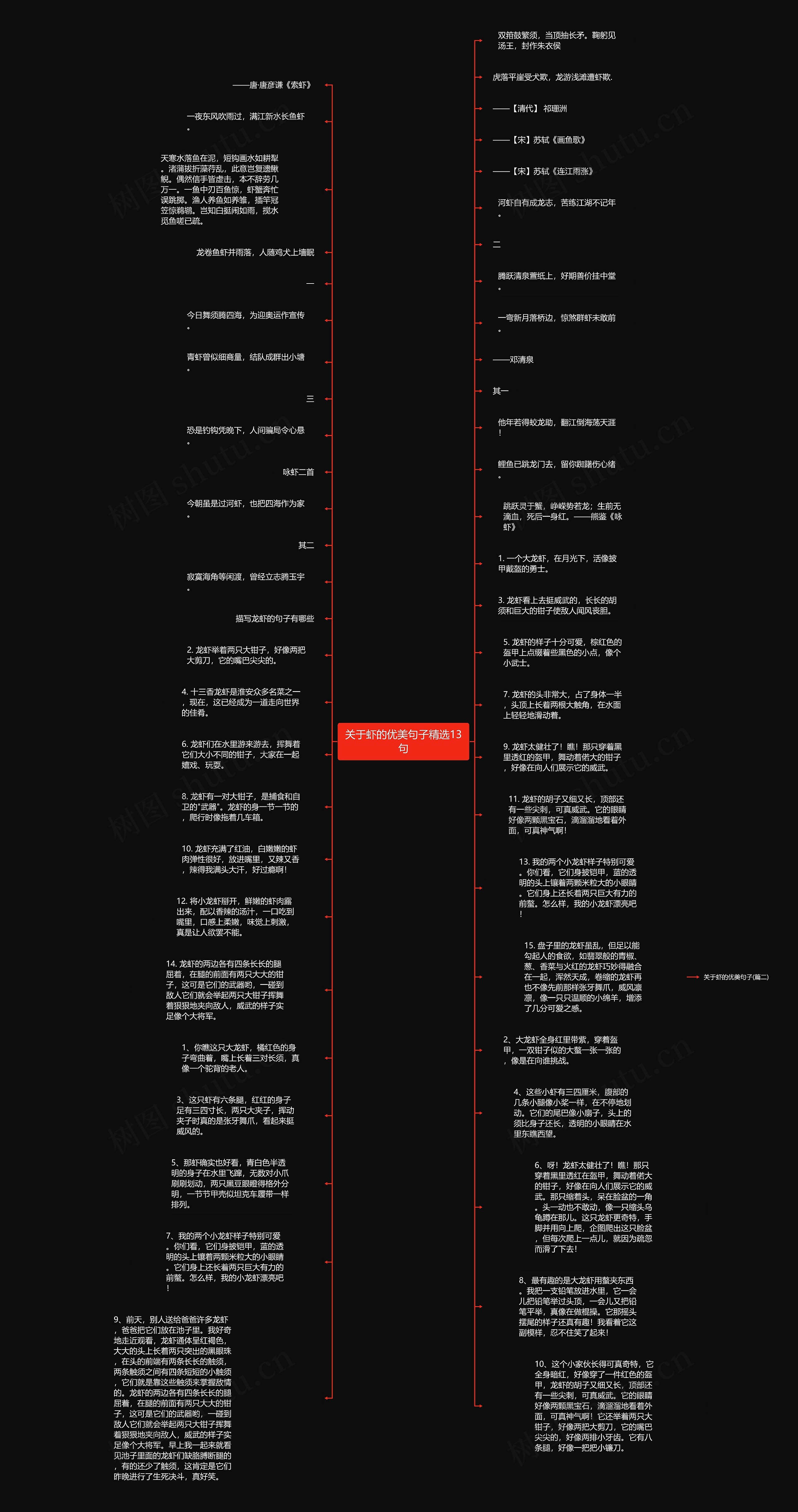 关于虾的优美句子精选13句思维导图