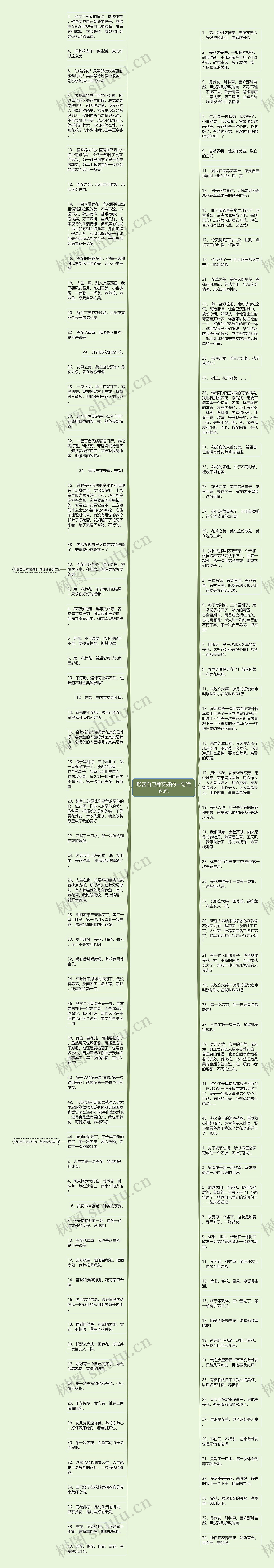 形容自己养花好的一句话说说