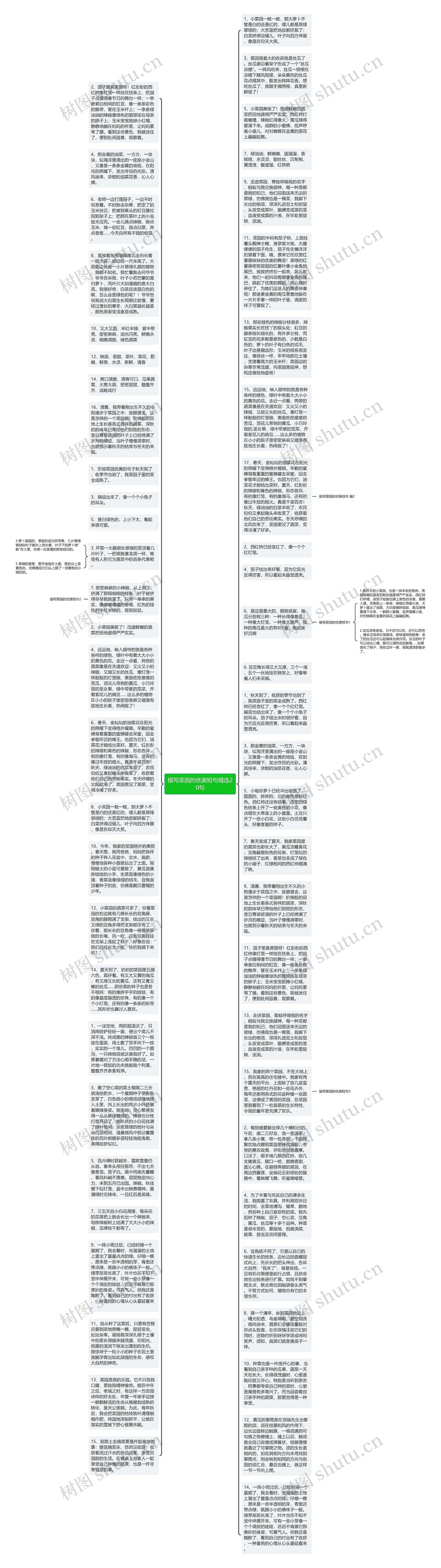 描写菜园的优美短句精选20句思维导图