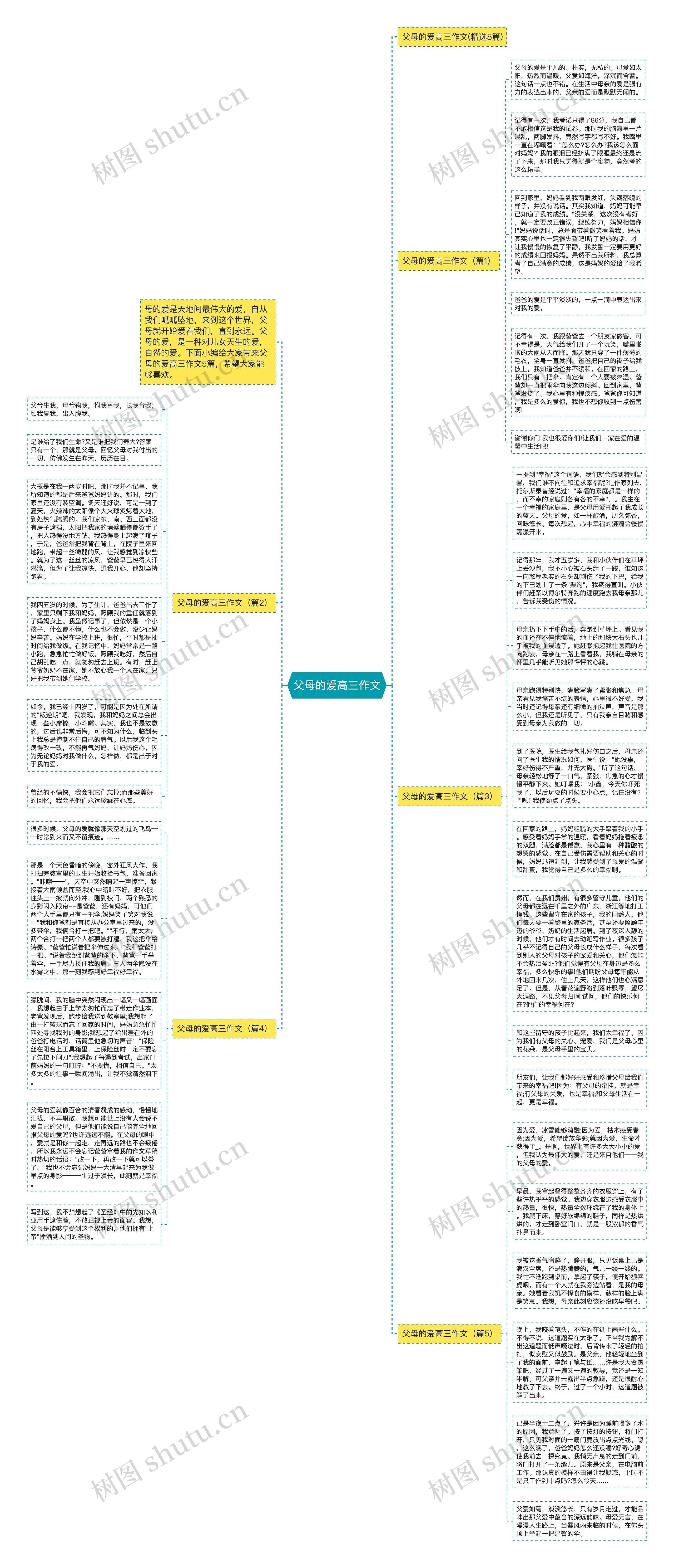 父母的爱高三作文思维导图