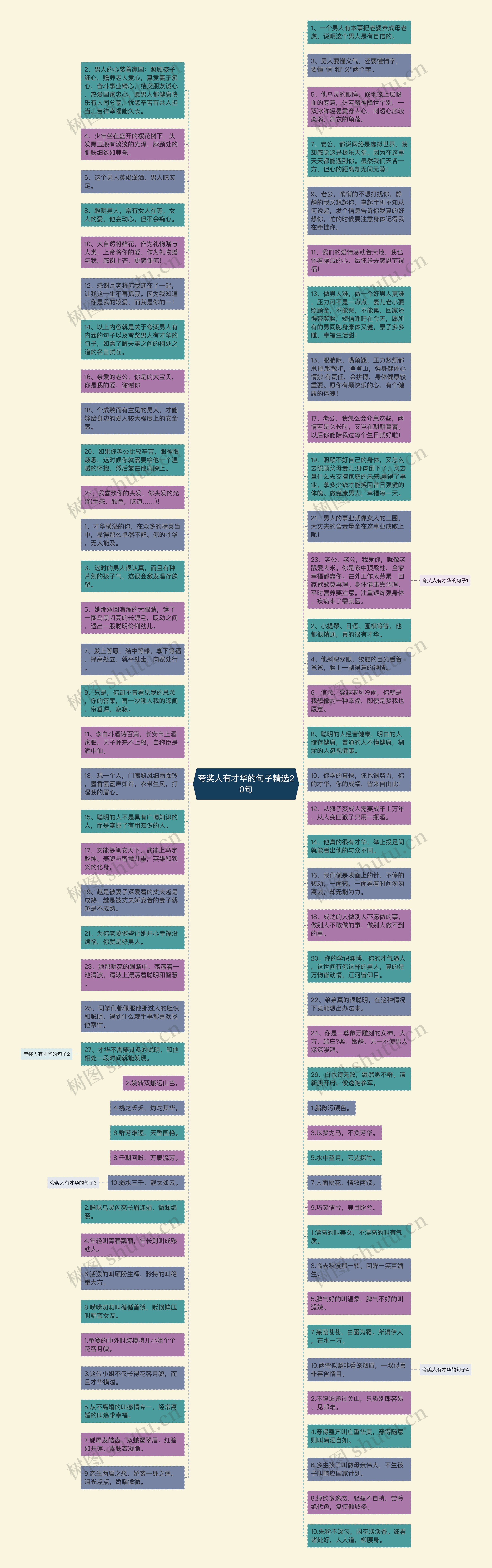 夸奖人有才华的句子精选20句思维导图