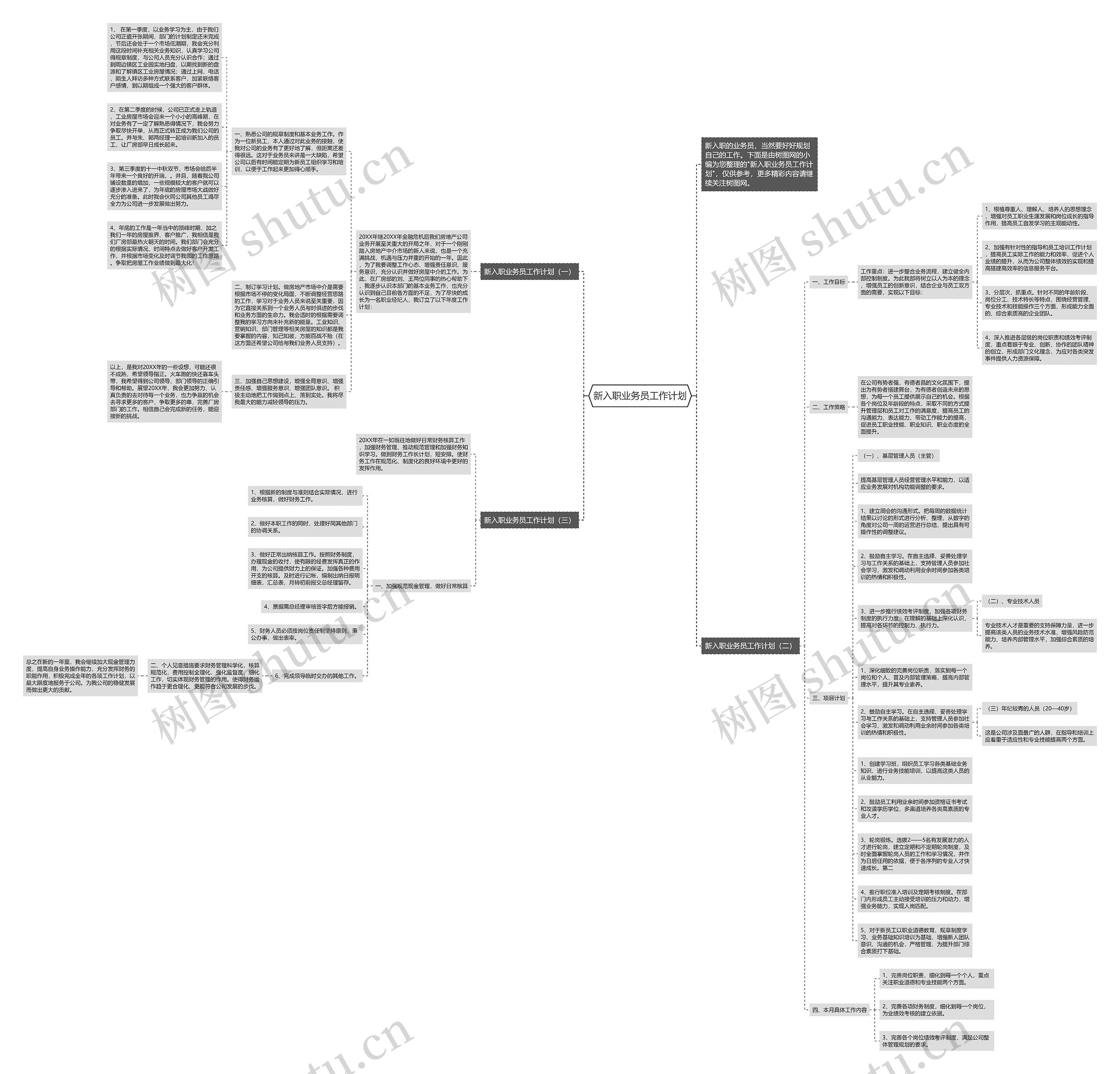 新入职业务员工作计划思维导图
