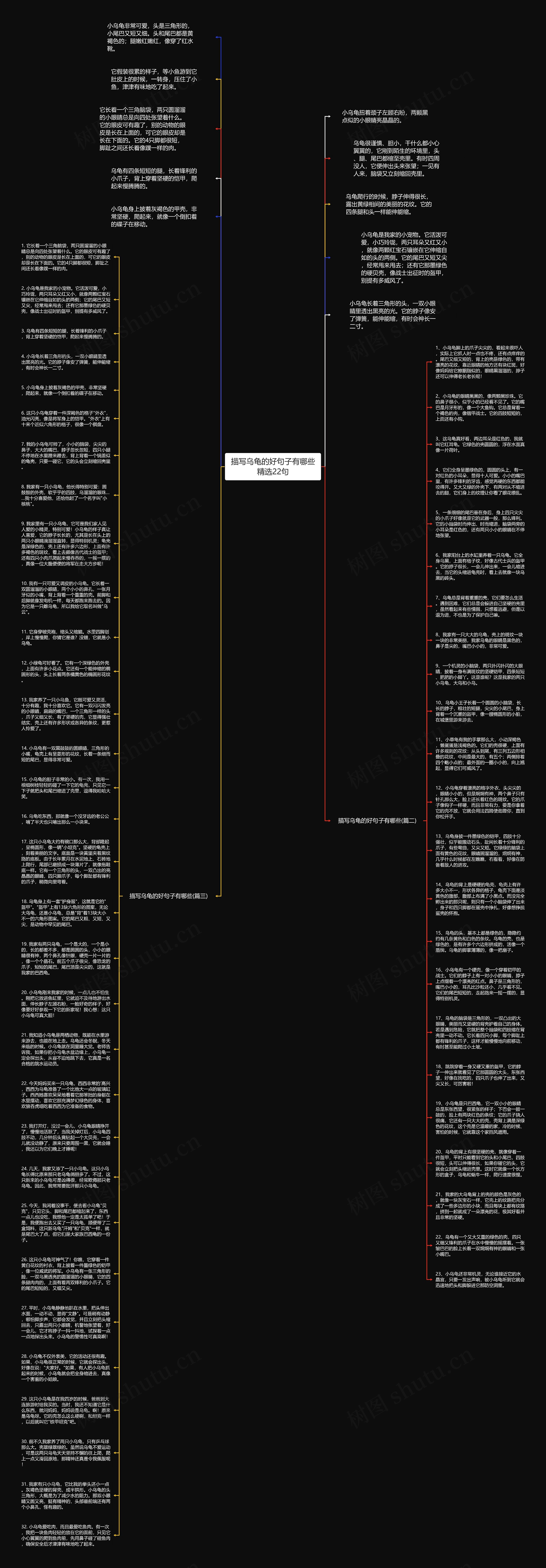 描写乌龟的好句子有哪些精选22句思维导图