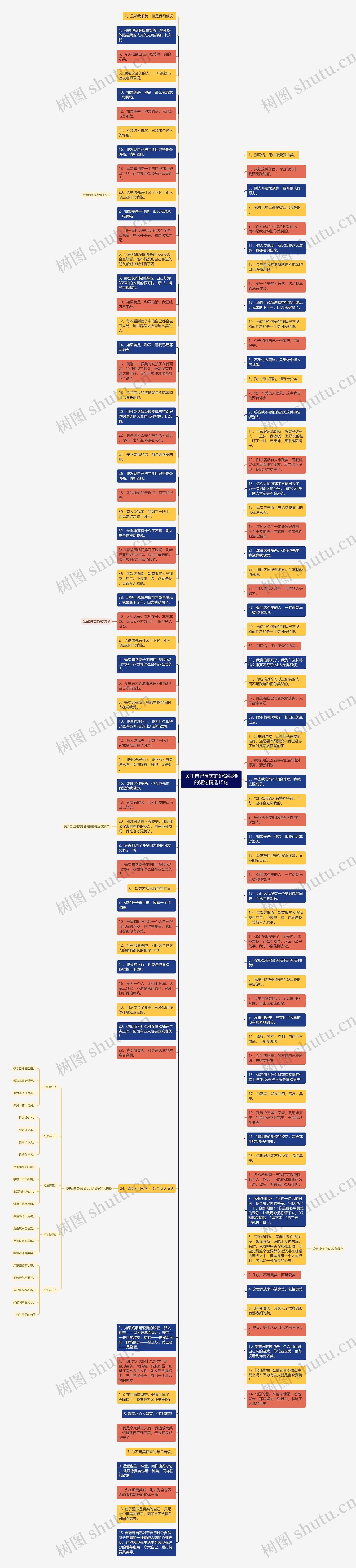 关于自己臭美的说说独特的短句精选15句思维导图