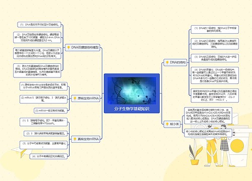 分子生物学基础知识