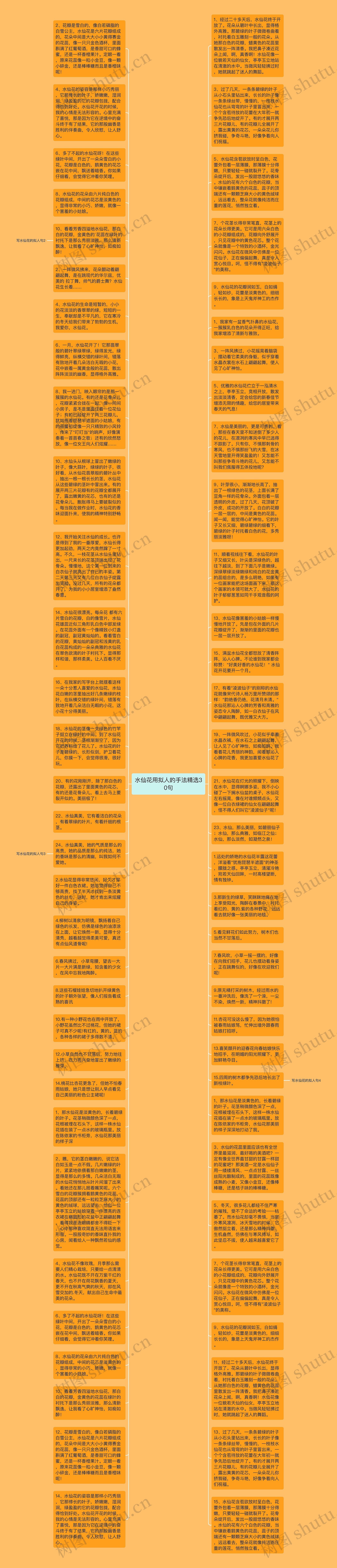 水仙花用拟人的手法精选30句