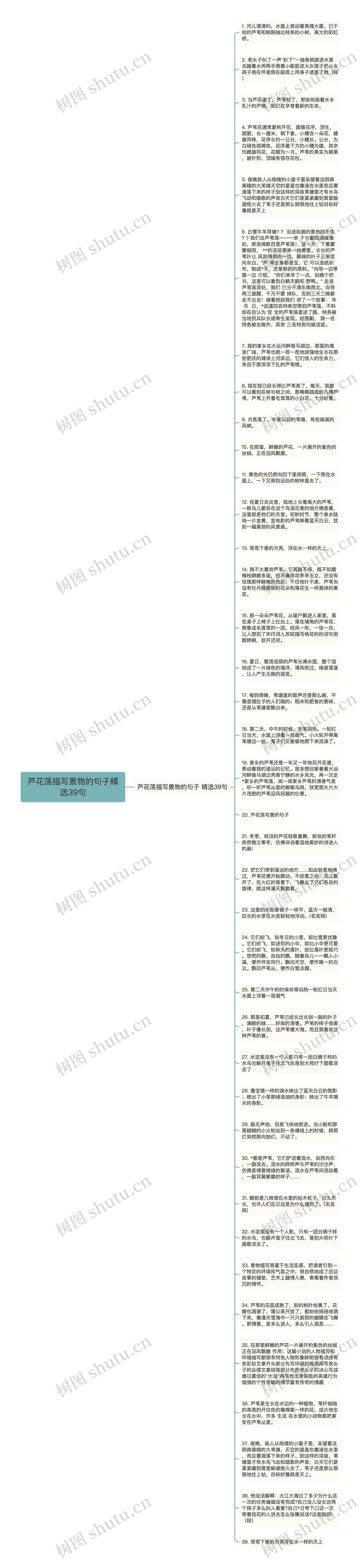 芦花荡描写景物的句子精选39句思维导图