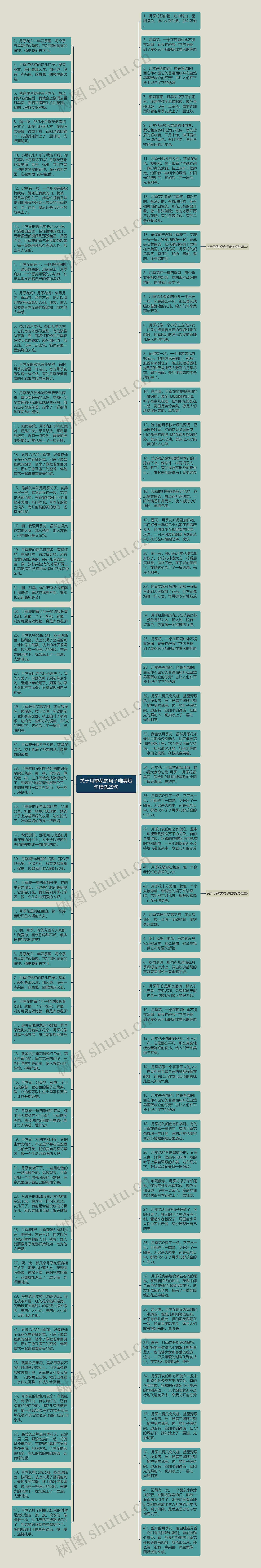 关于月季花的句子唯美短句精选29句思维导图