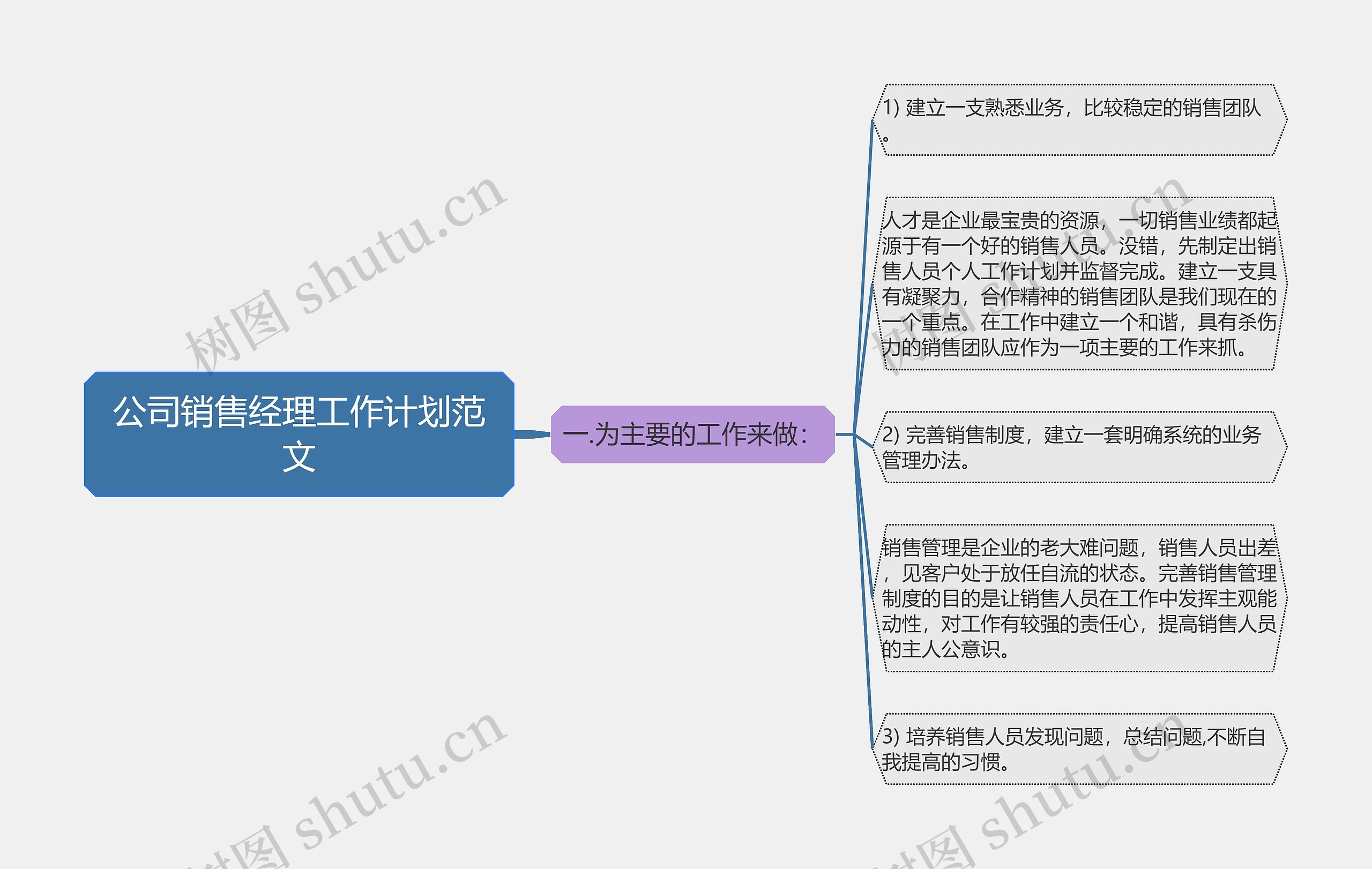 公司销售经理工作计划范文