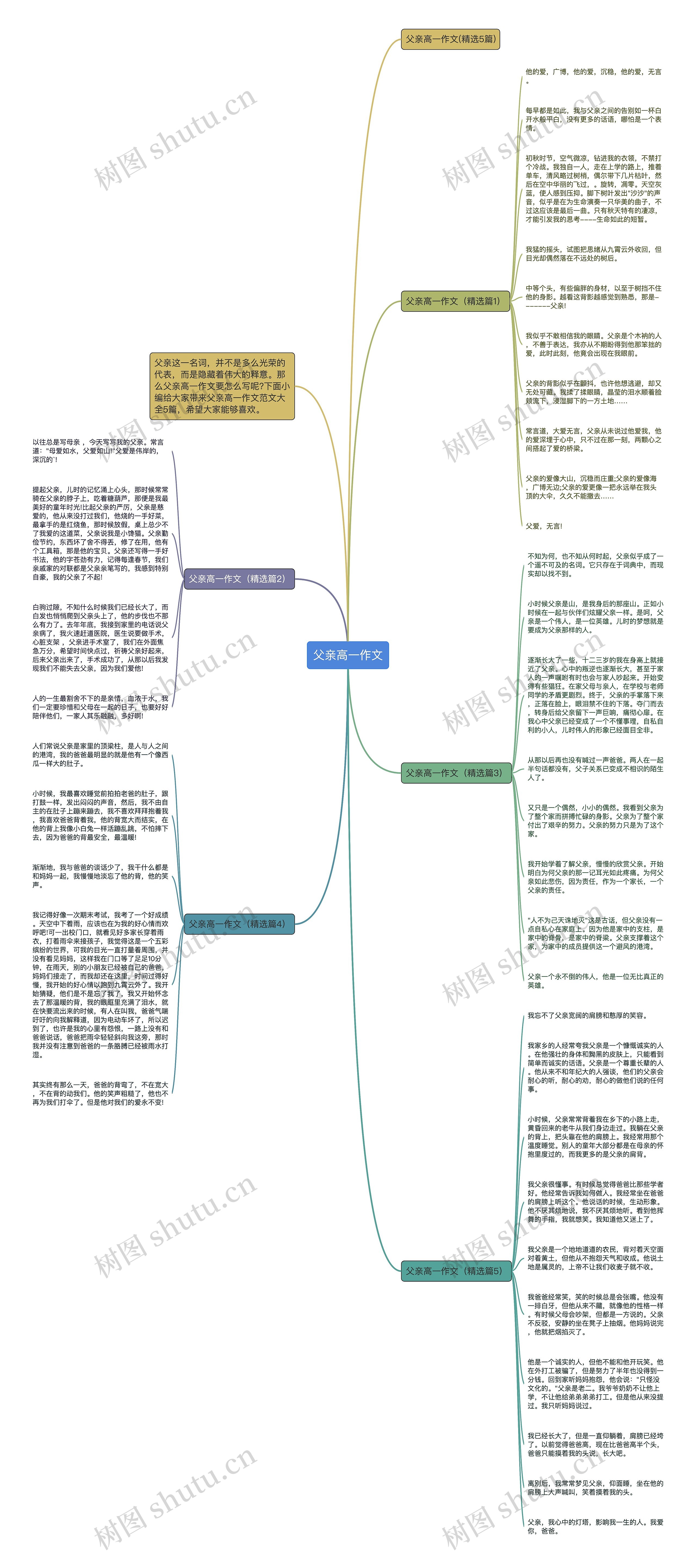 父亲高一作文思维导图
