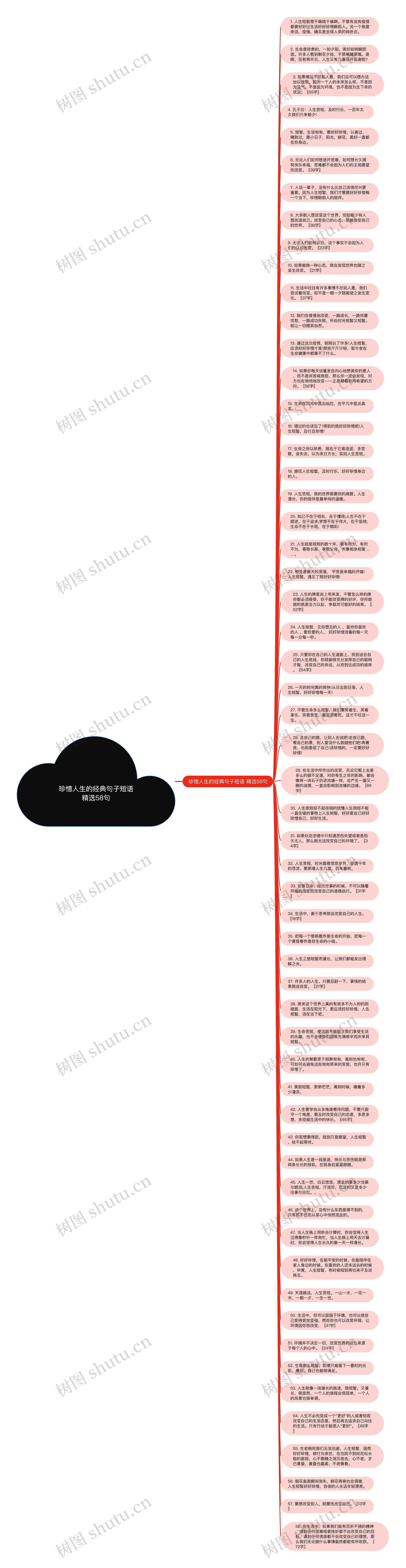 珍惜人生的经典句子短语精选58句思维导图