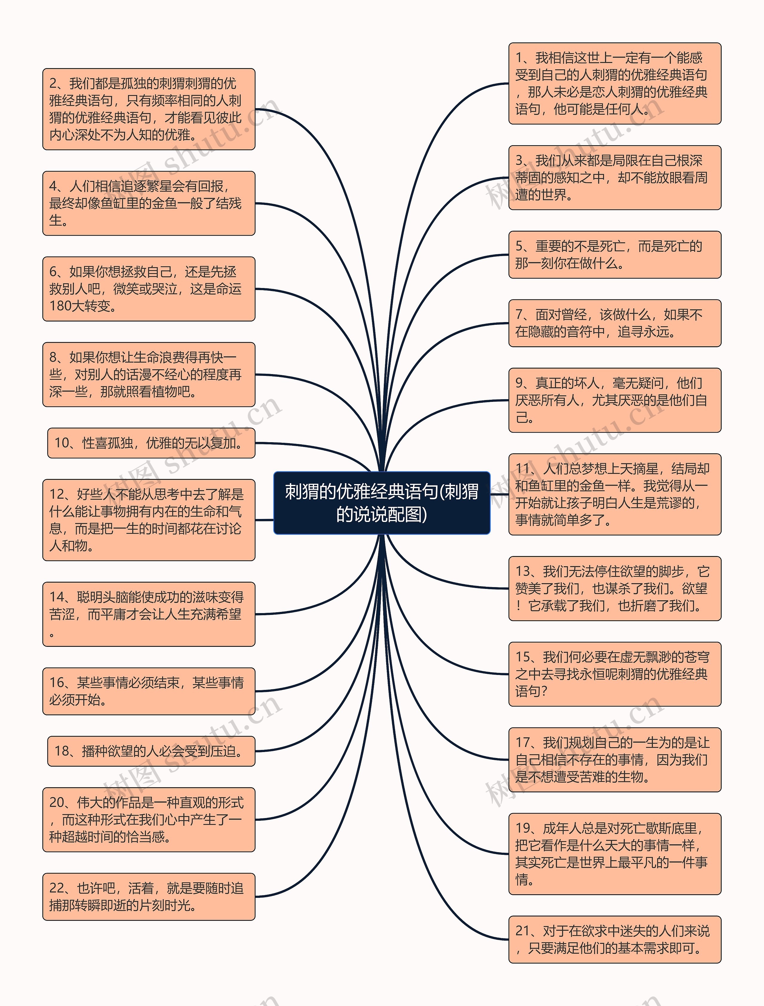 刺猬的优雅经典语句(刺猬的说说配图)