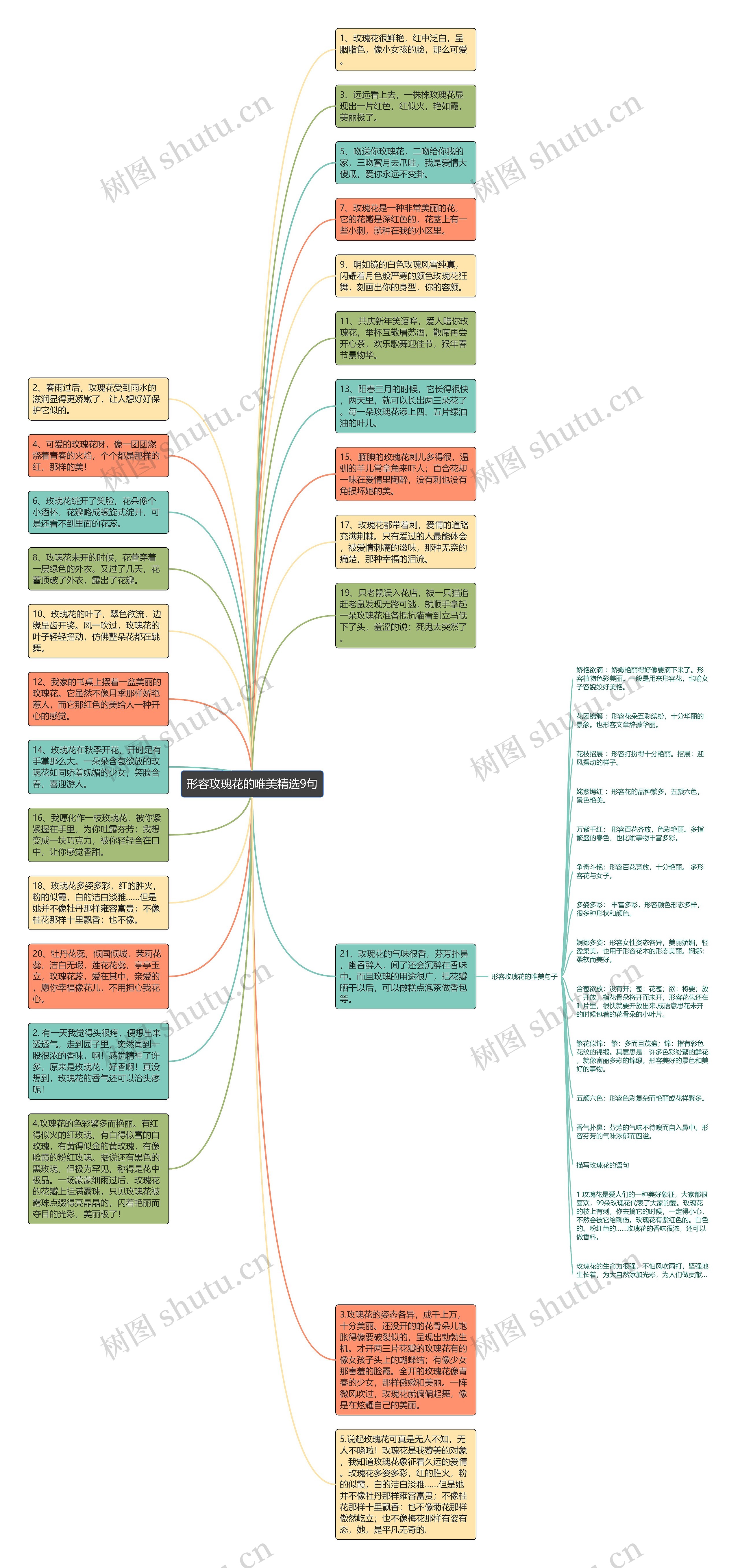 形容玫瑰花的唯美精选9句思维导图
