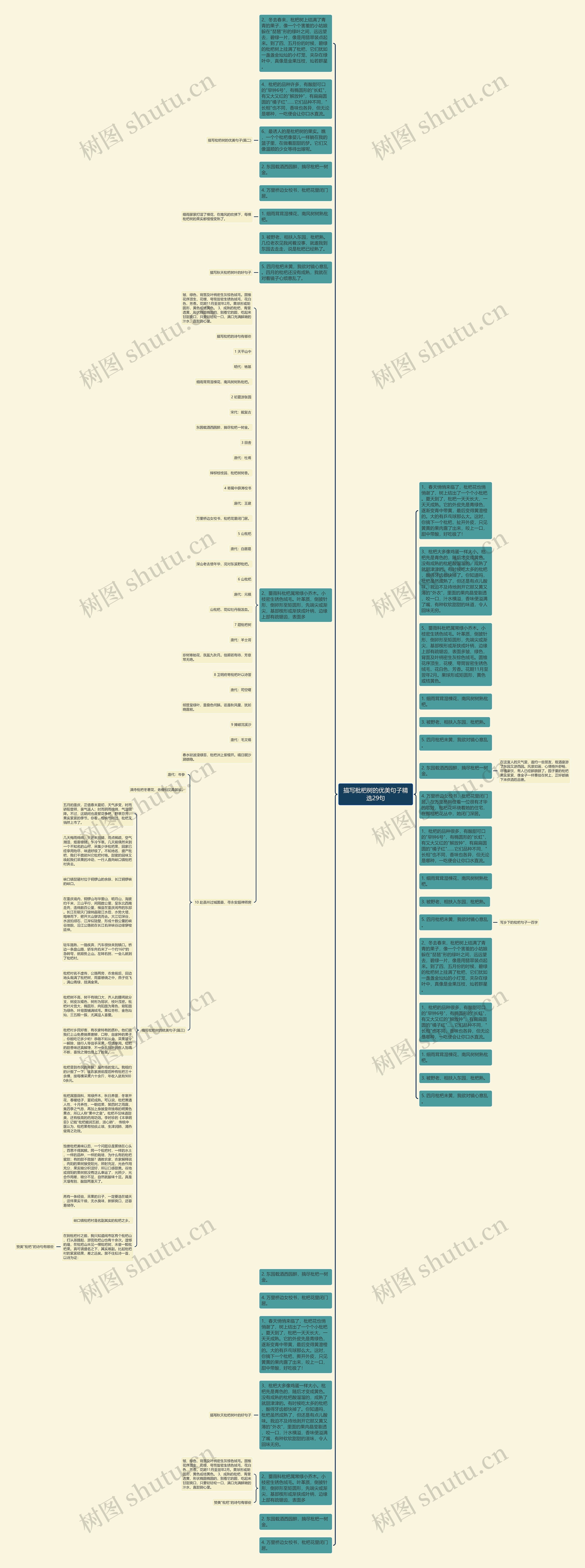 描写枇杷树的优美句子精选29句思维导图