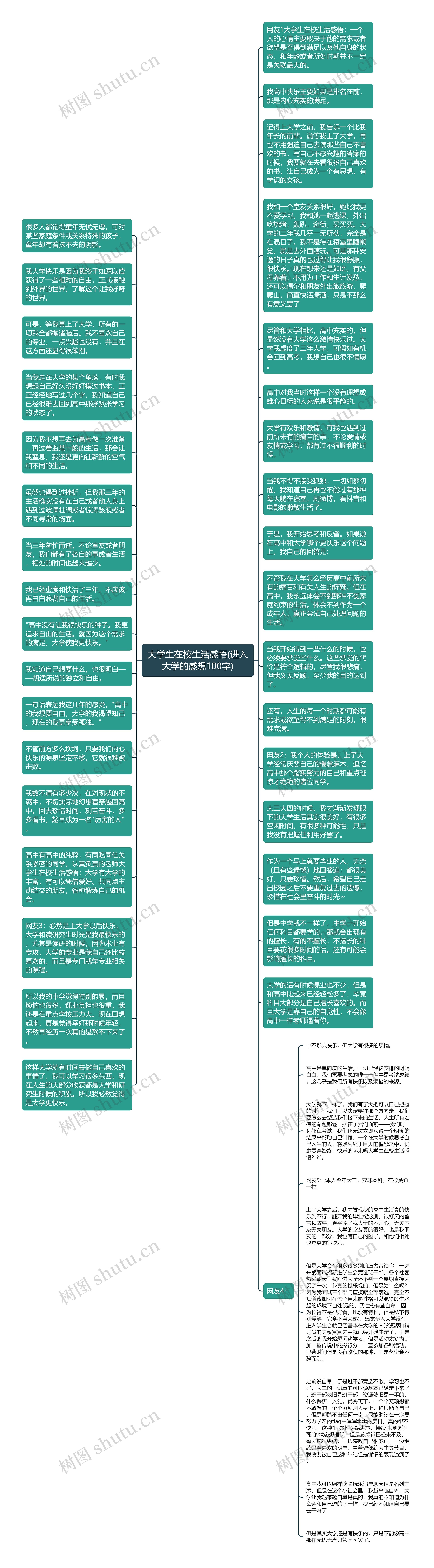 大学生在校生活感悟(进入大学的感想100字)