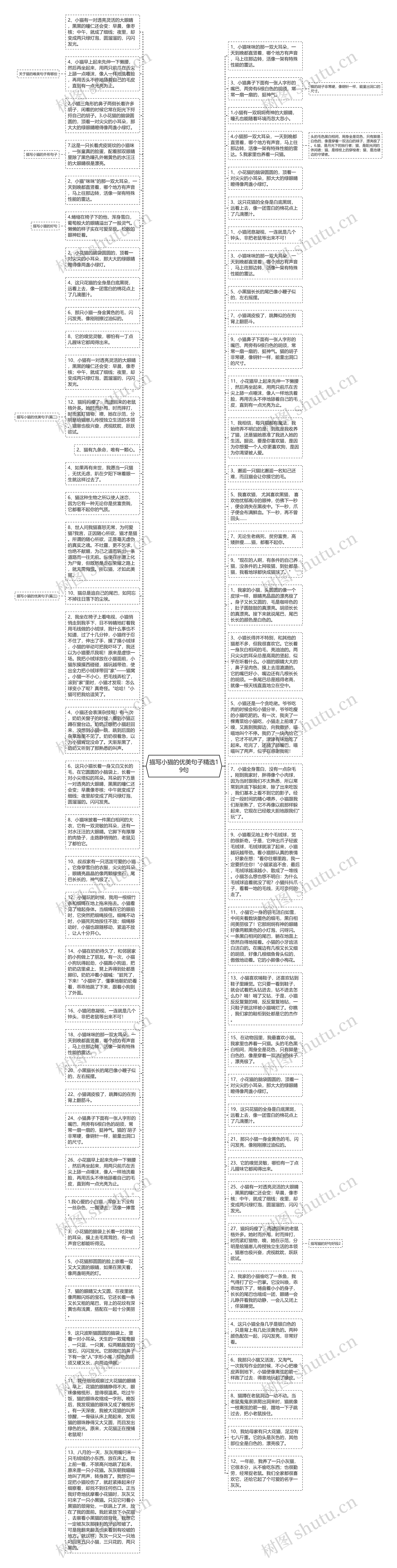 描写小猫的优美句子精选19句思维导图