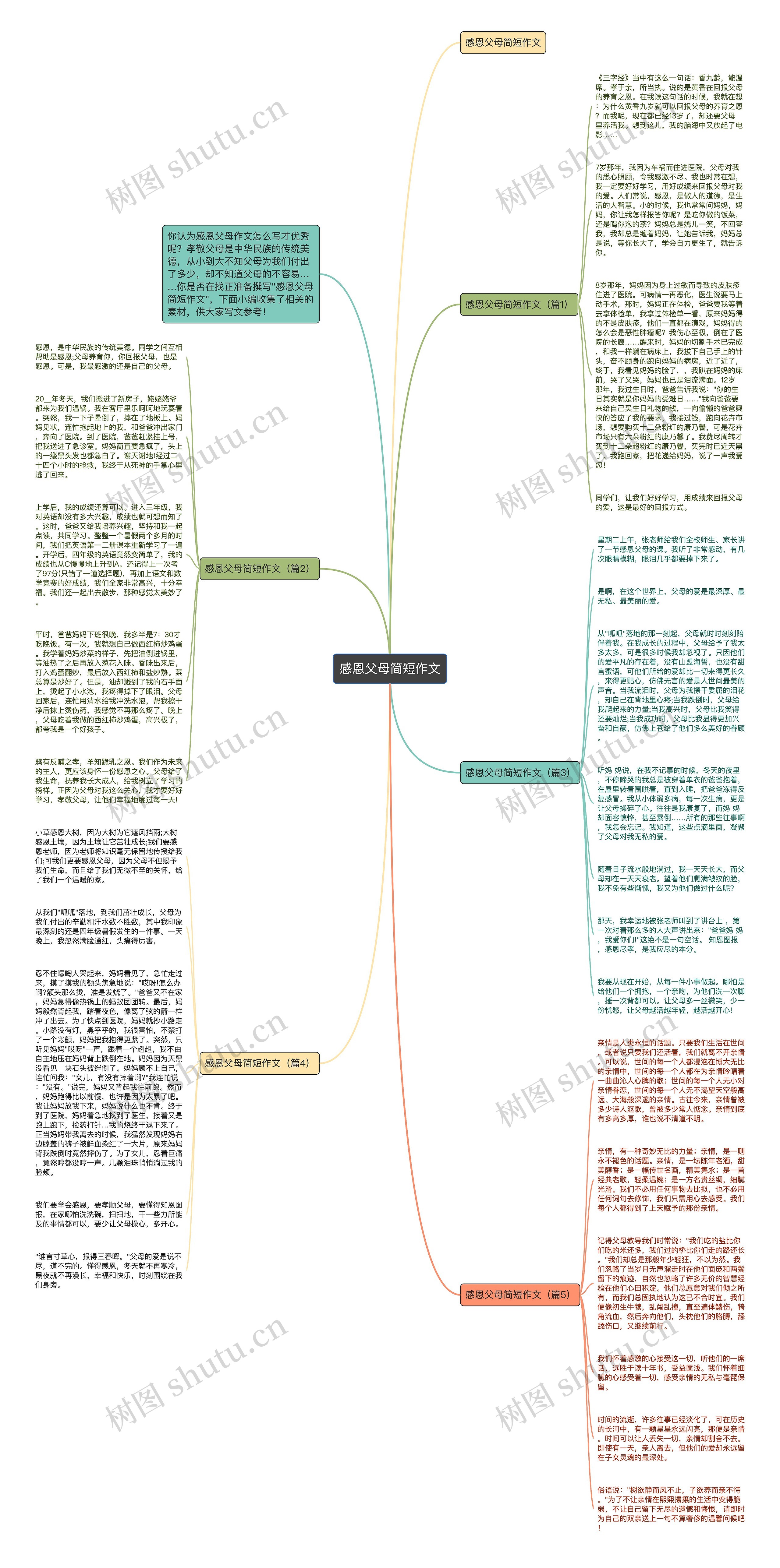 感恩父母简短作文思维导图