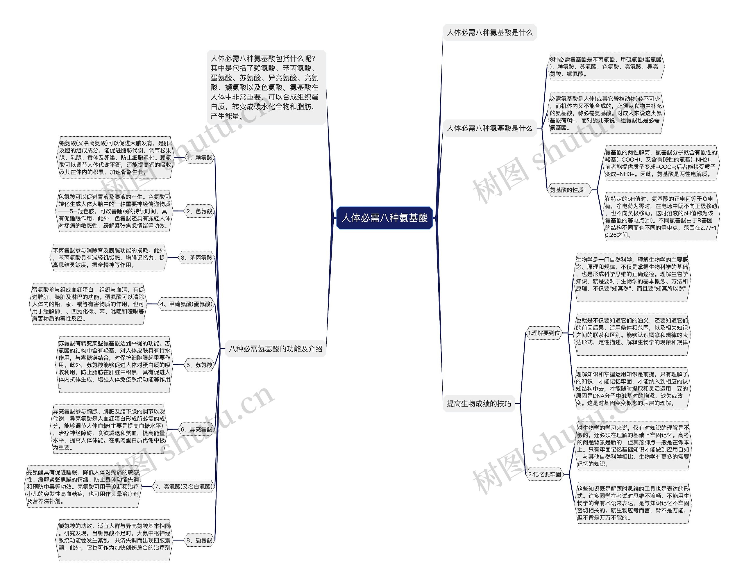 人体必需八种氨基酸思维导图