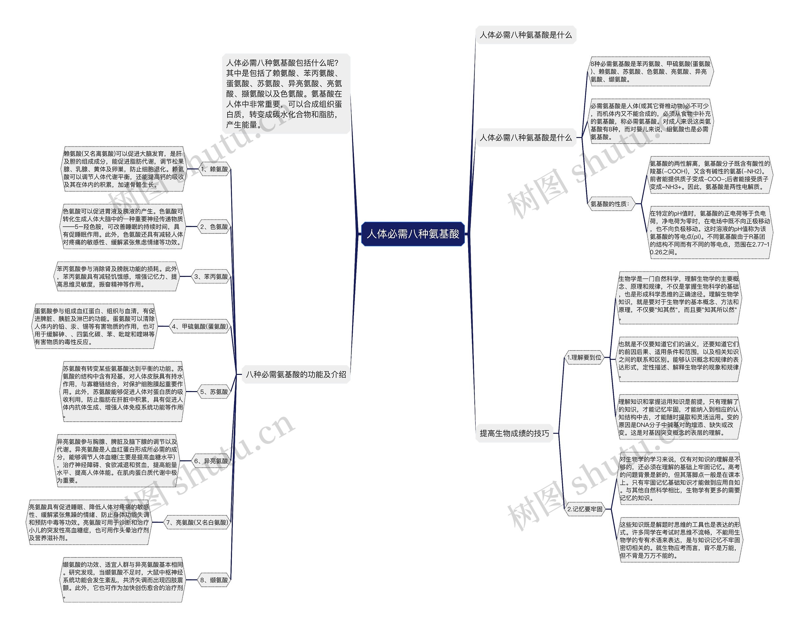 人体必需八种氨基酸思维导图高清图 人体必需八种氨基酸思维导图