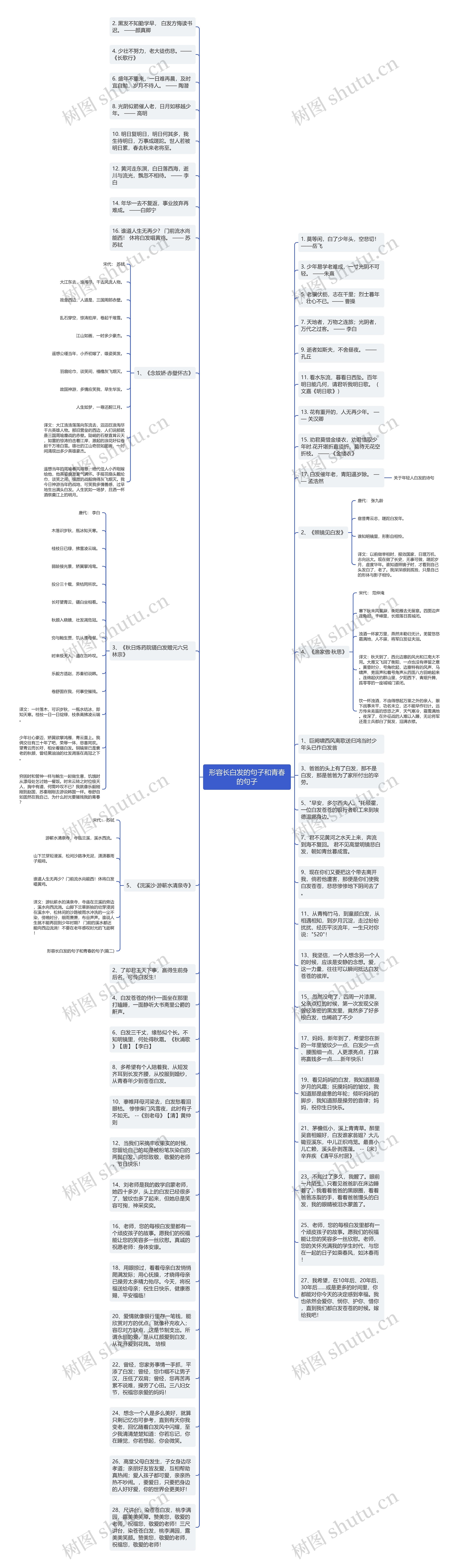 形容长白发的句子和青春的句子思维导图