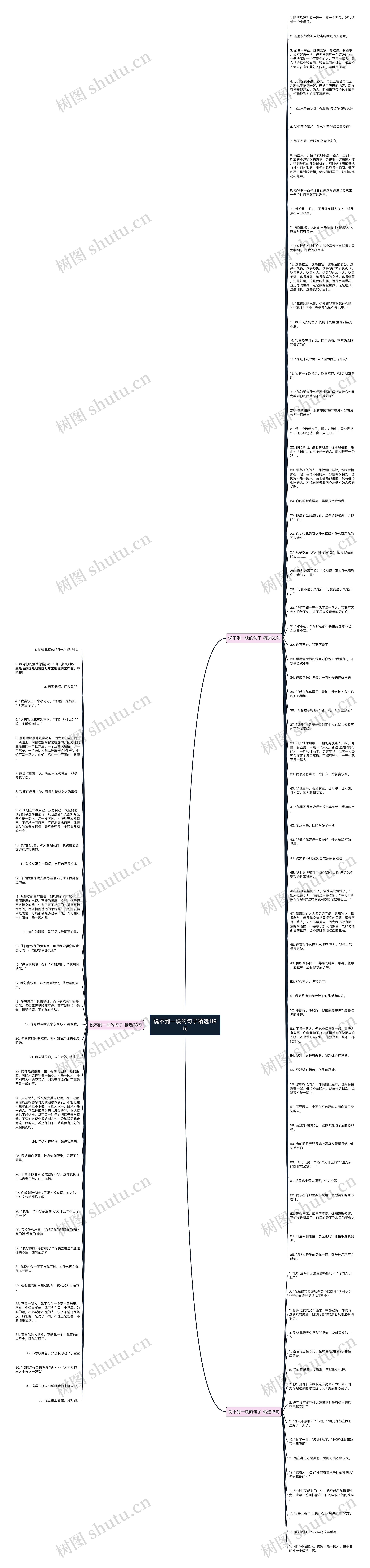 说不到一块的句子精选119句思维导图