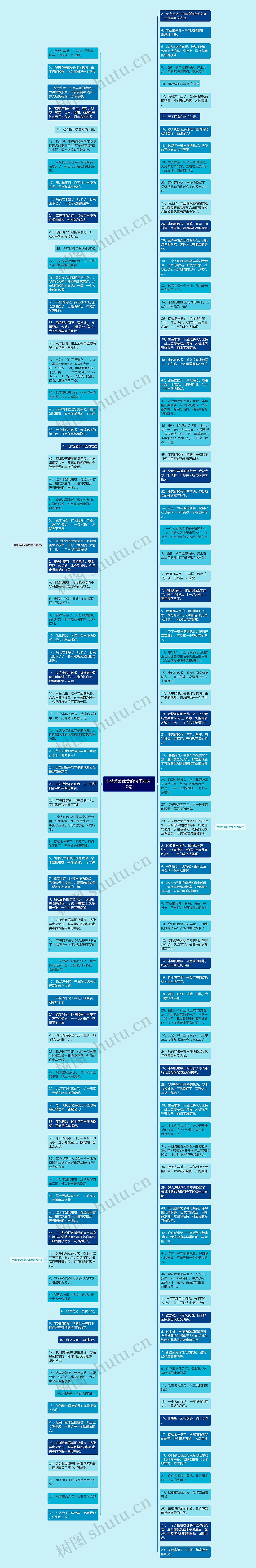 丰盛饭菜优美的句子精选10句思维导图