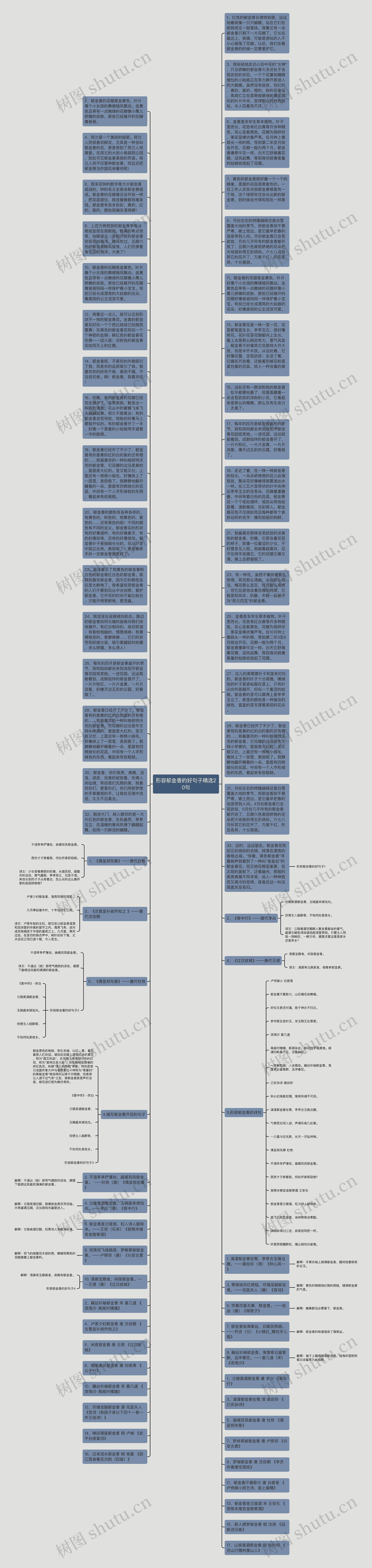 形容郁金香的好句子精选20句思维导图