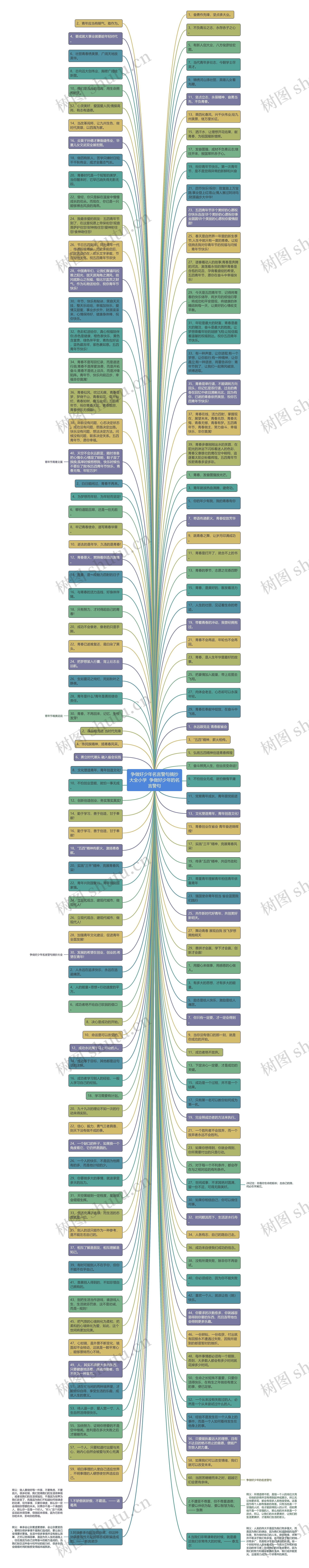 争做好少年名言警句摘抄大全小学  争做好少年的名言警句思维导图