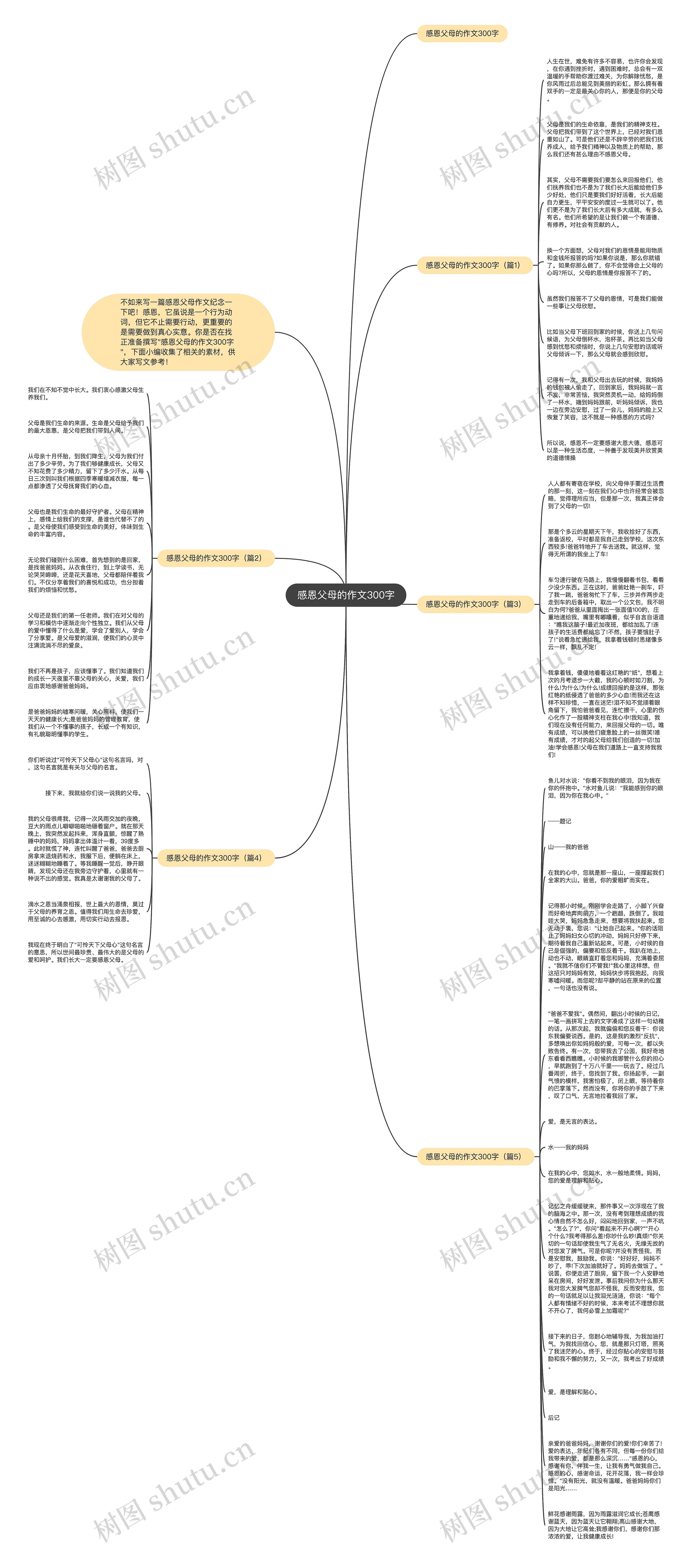 感恩父母的作文300字思维导图