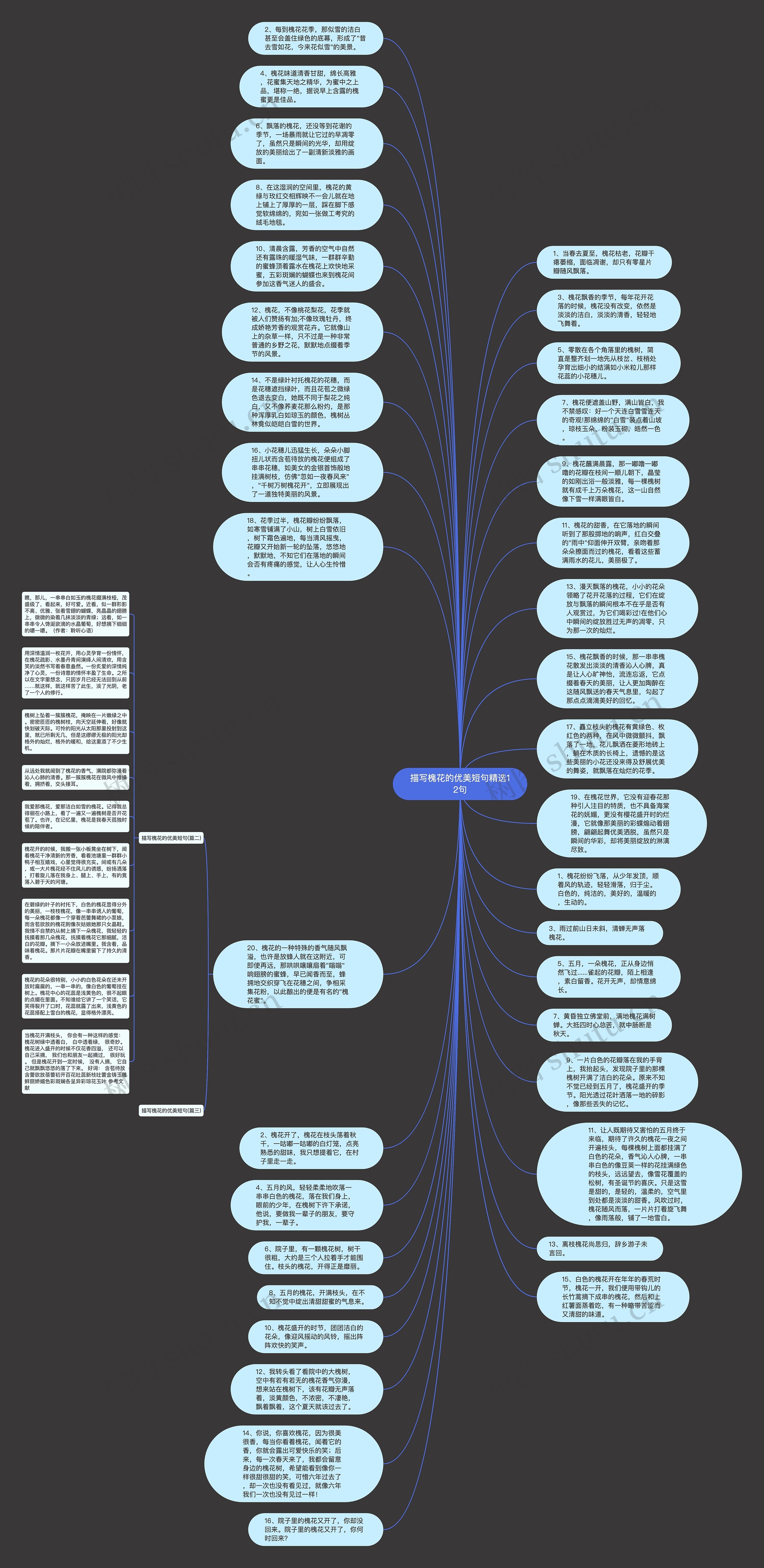 描写槐花的优美短句精选12句思维导图