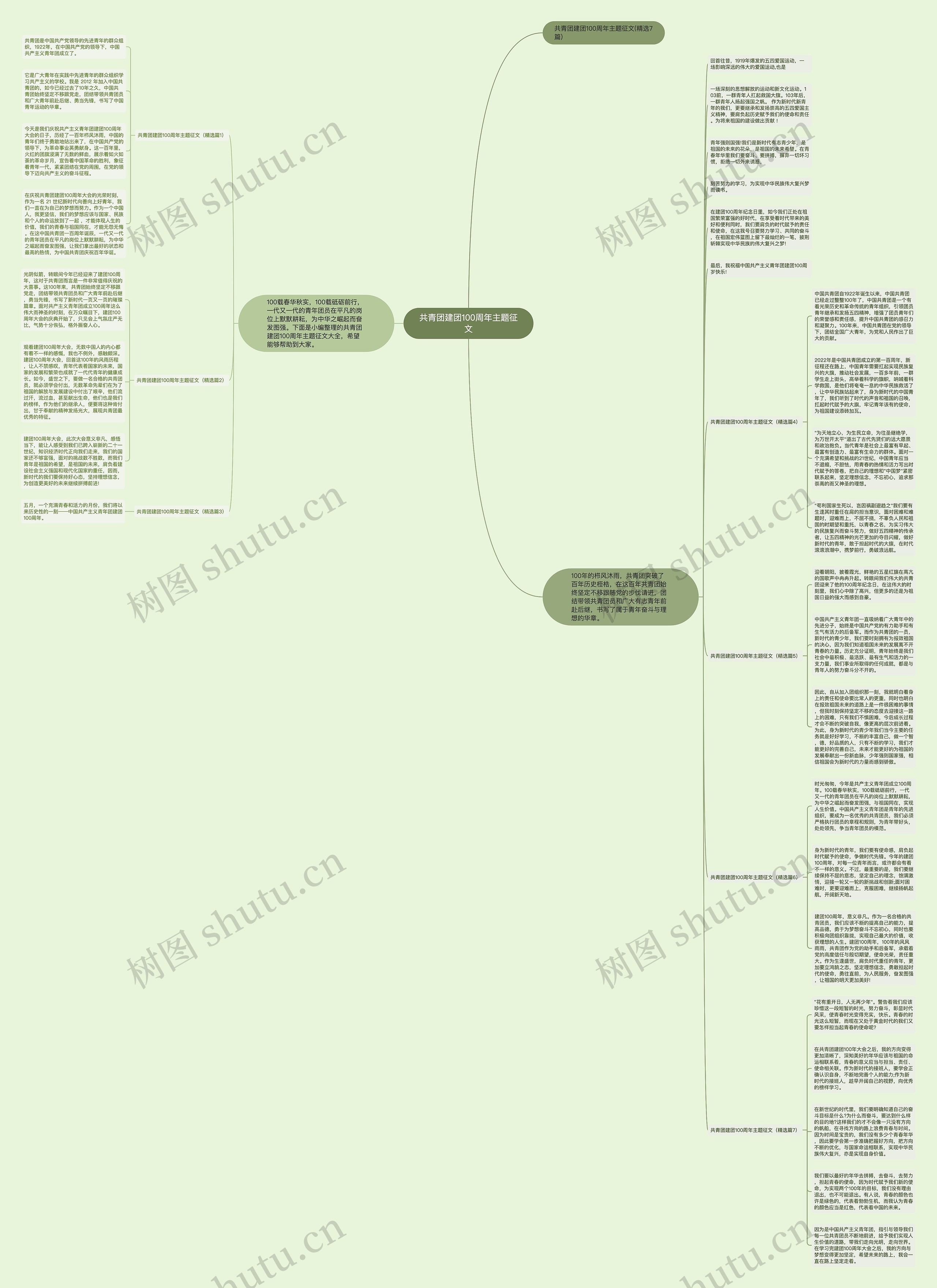 共青团建团100周年主题征文思维导图
