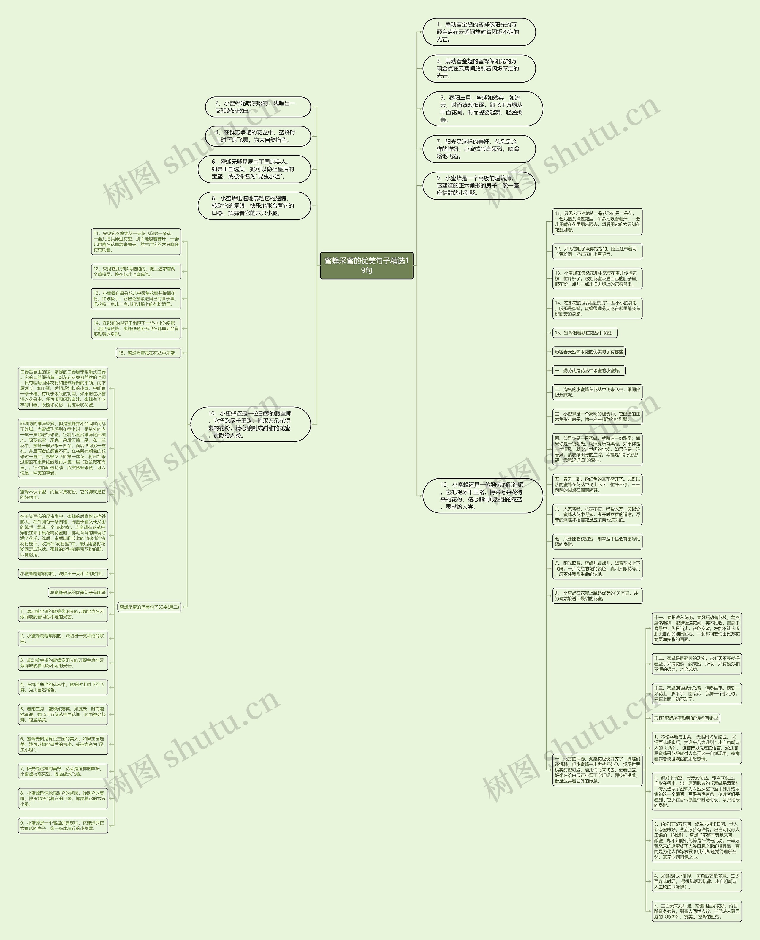 蜜蜂采蜜的优美句子精选19句思维导图