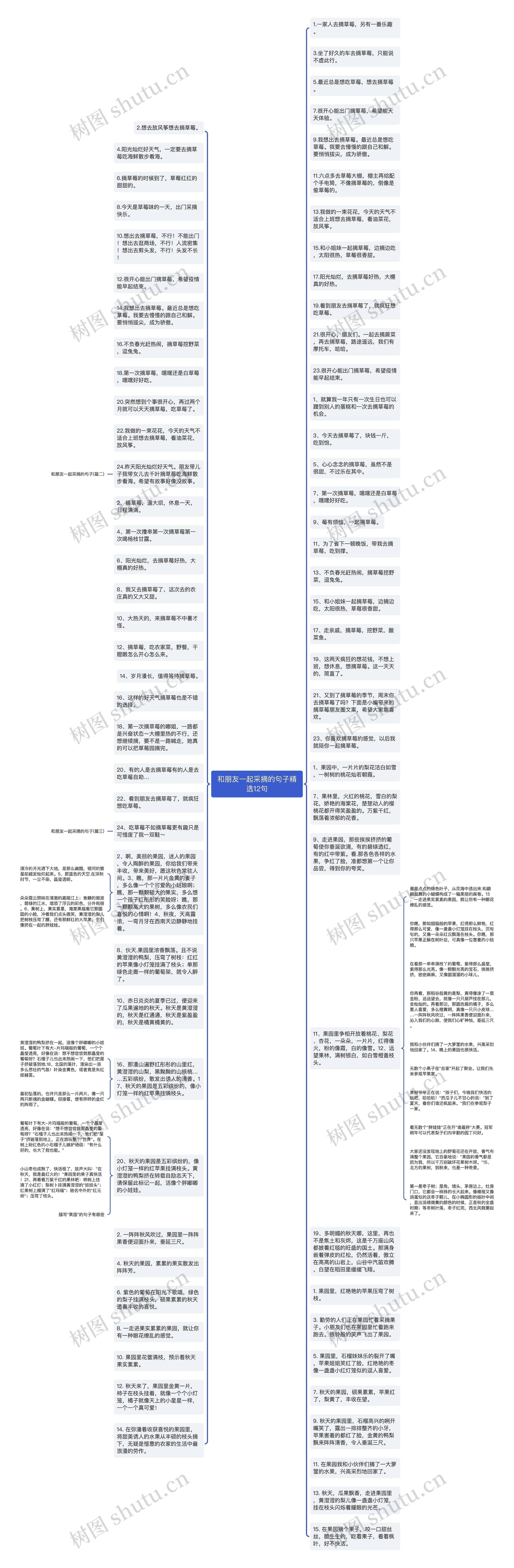 和朋友一起采摘的句子精选12句