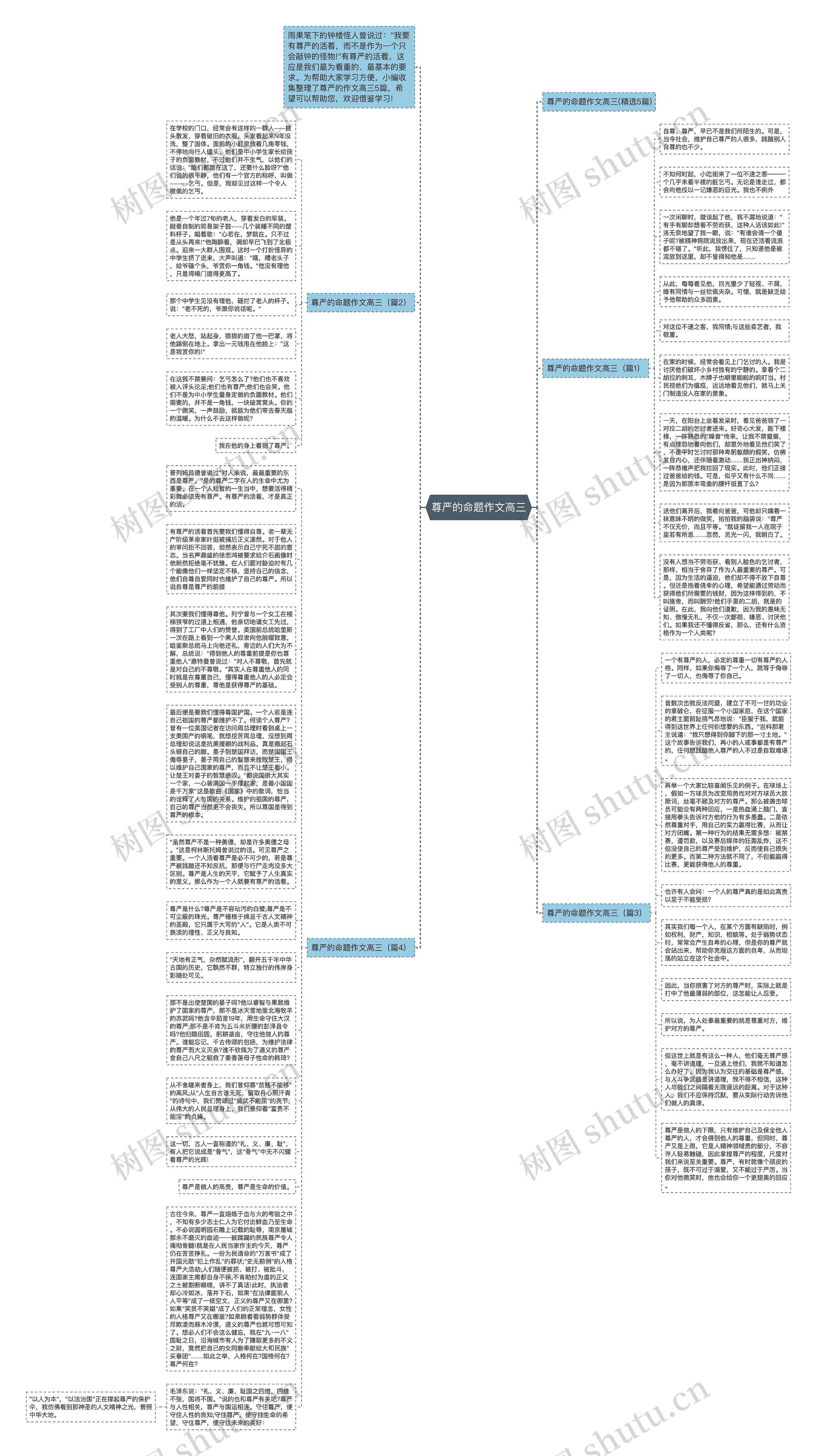 尊严的命题作文高三思维导图