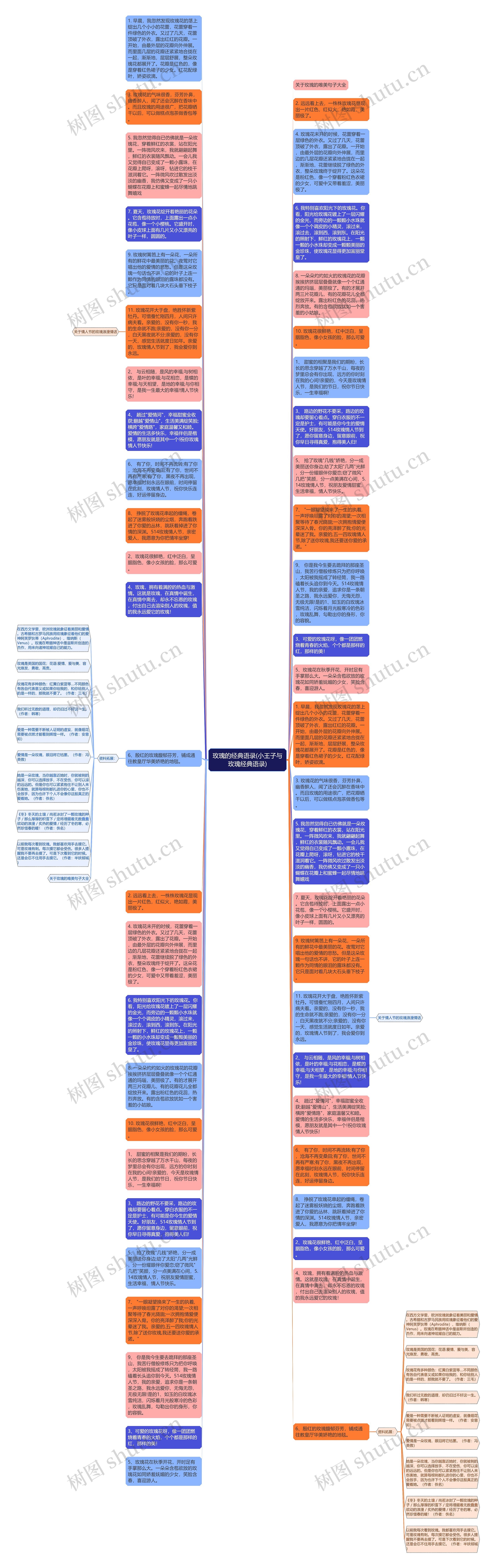玫瑰的经典语录(小王子与玫瑰经典语录)思维导图