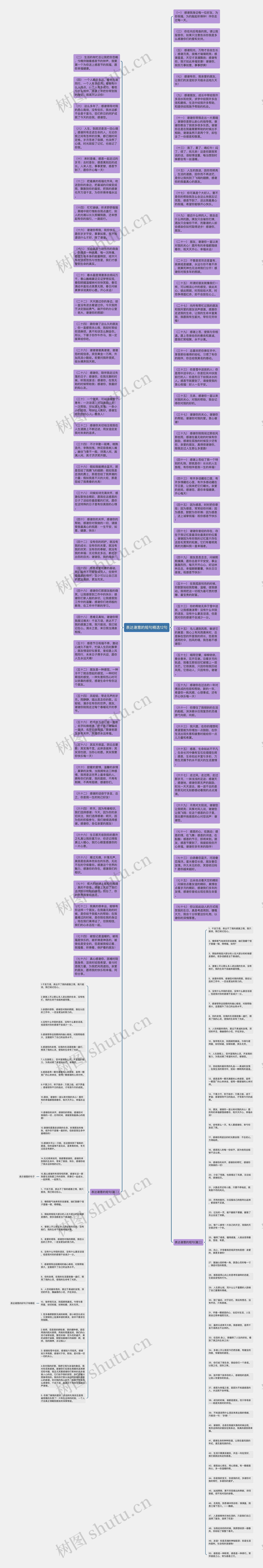 表达谢意的短句精选12句思维导图