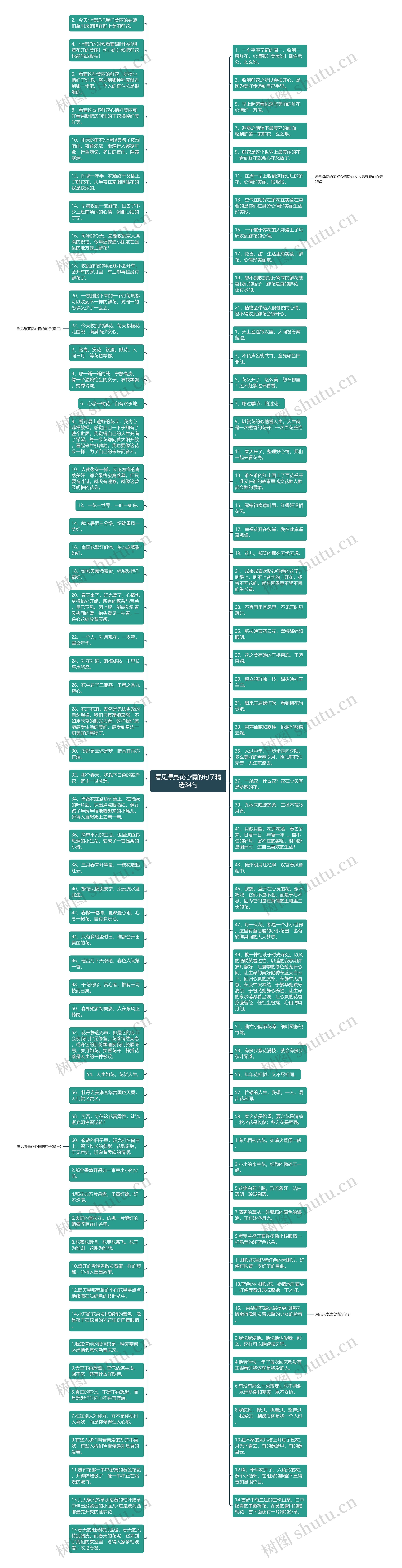 看见漂亮花心情的句子精选34句