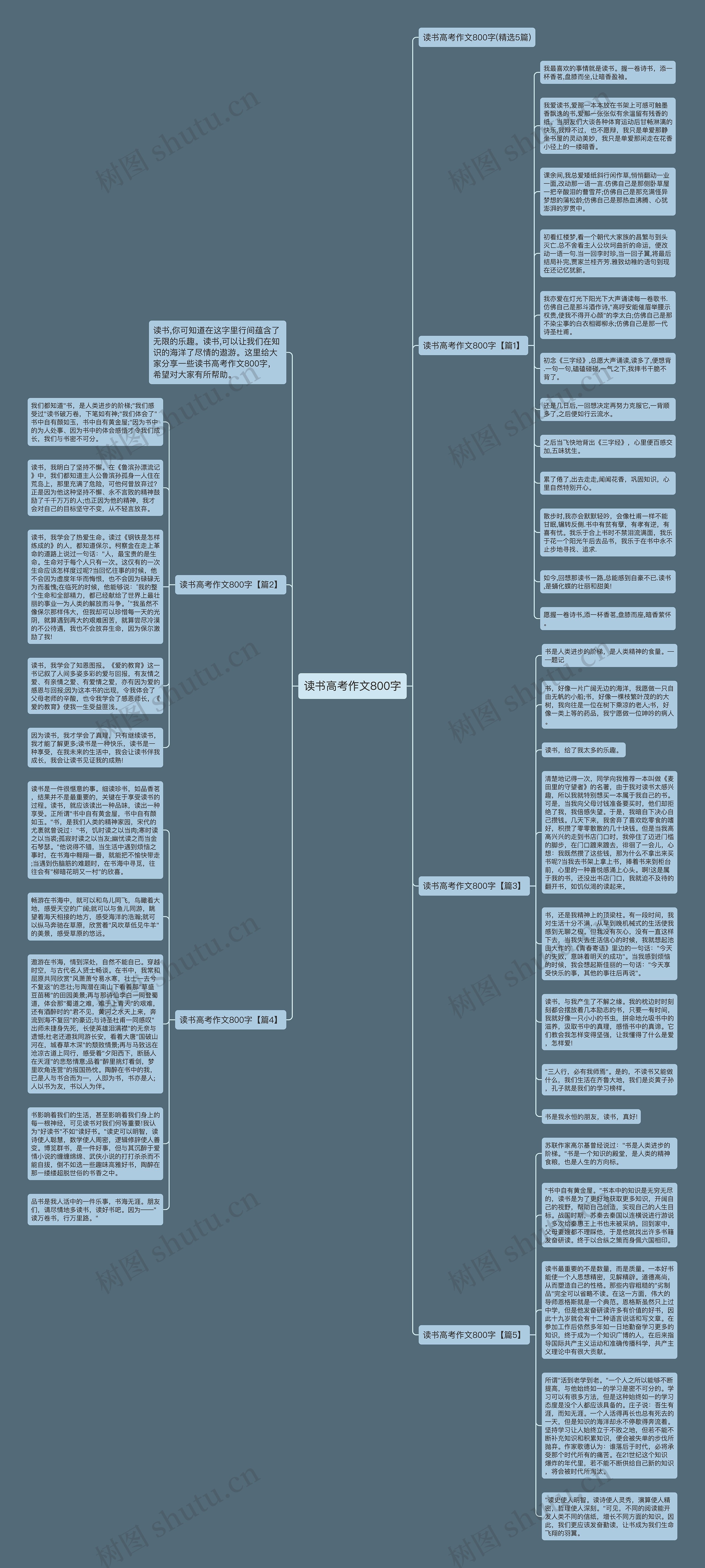 读书高考作文800字思维导图