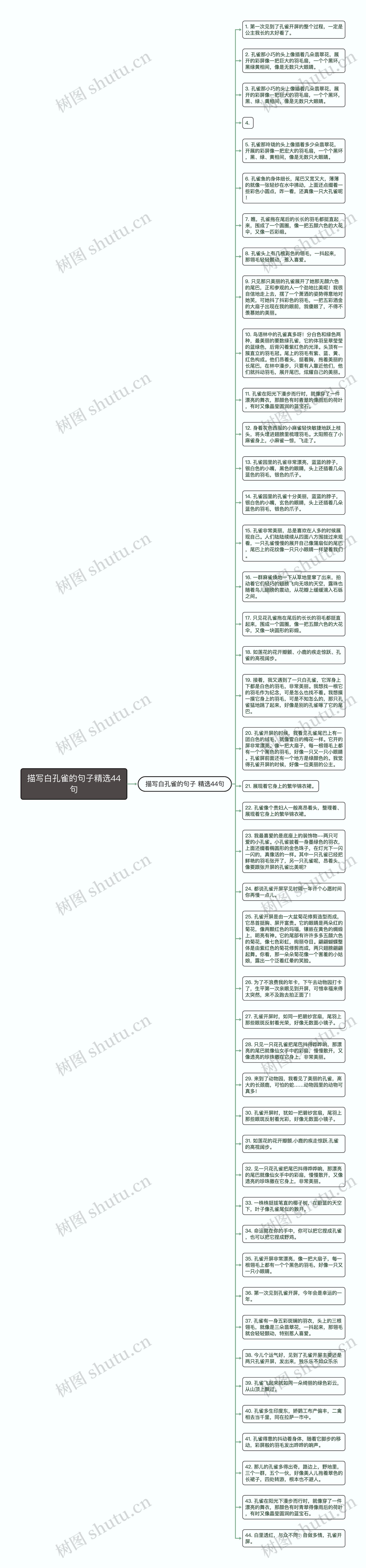 描写白孔雀的句子精选44句