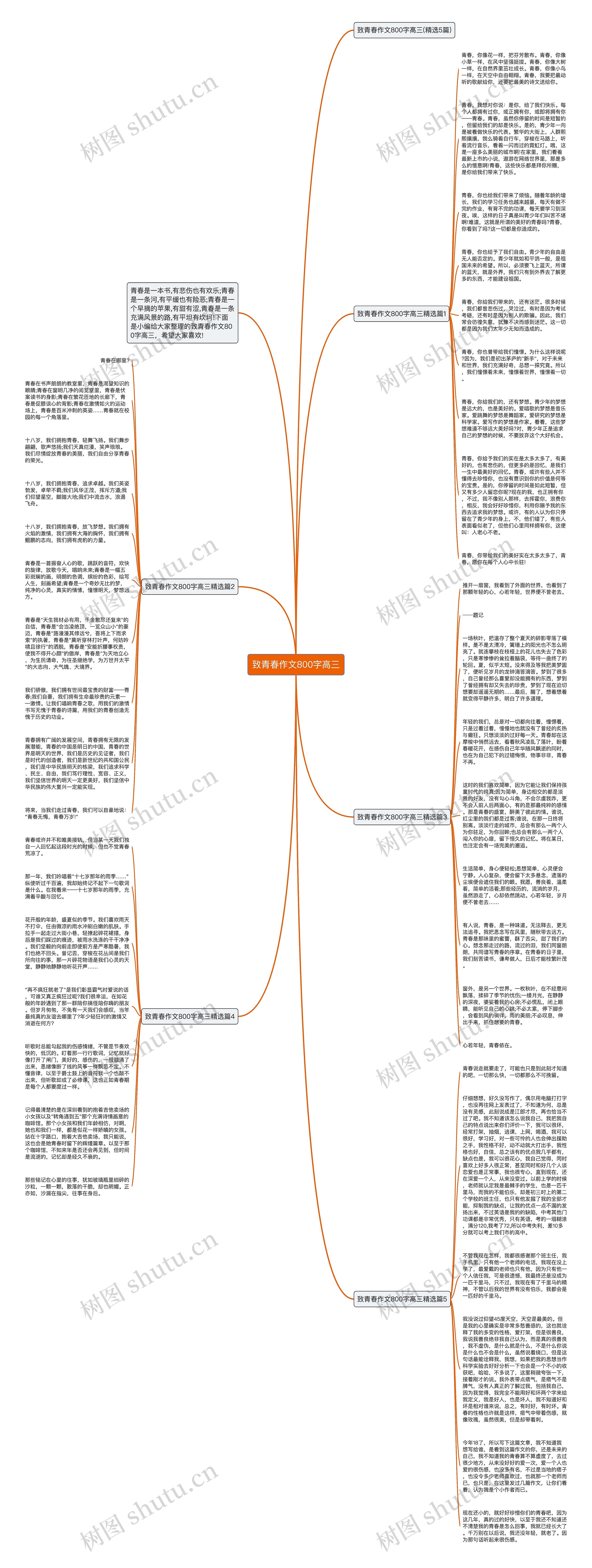 致青春作文800字高三思维导图