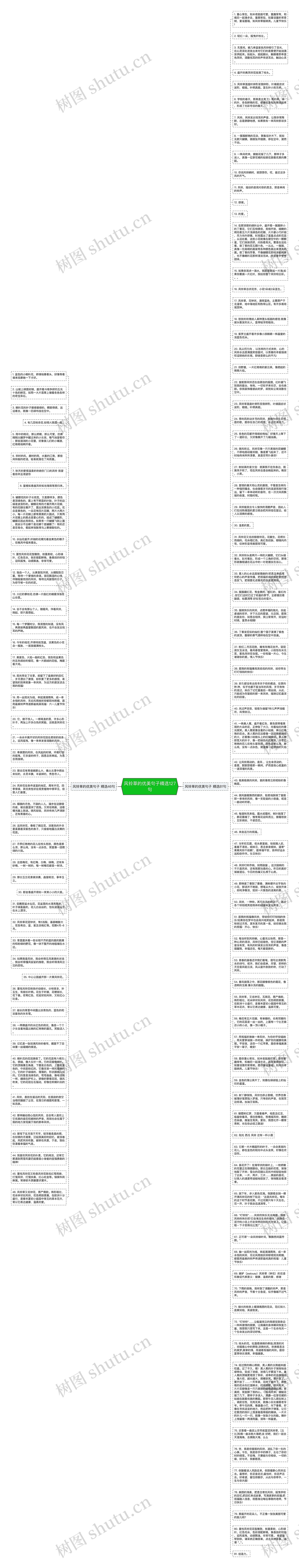 风铃草的优美句子精选127句思维导图