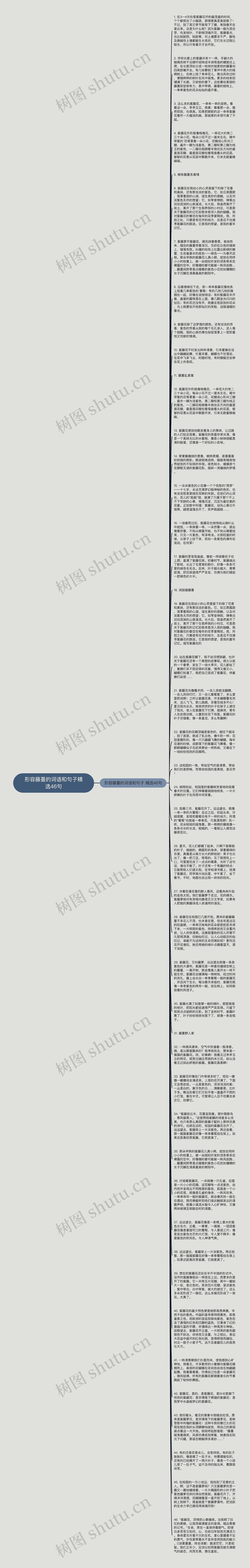 形容藤蔓的词语和句子精选46句思维导图