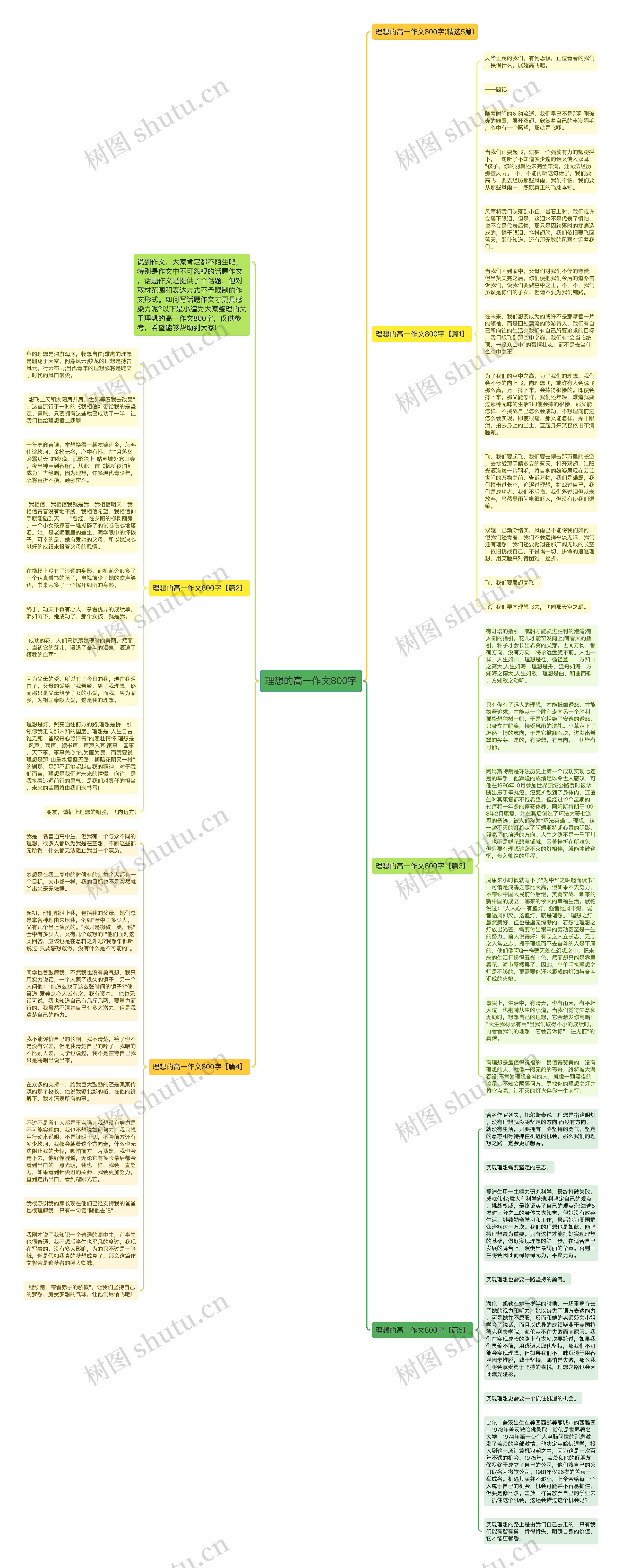 理想的高一作文800字思维导图