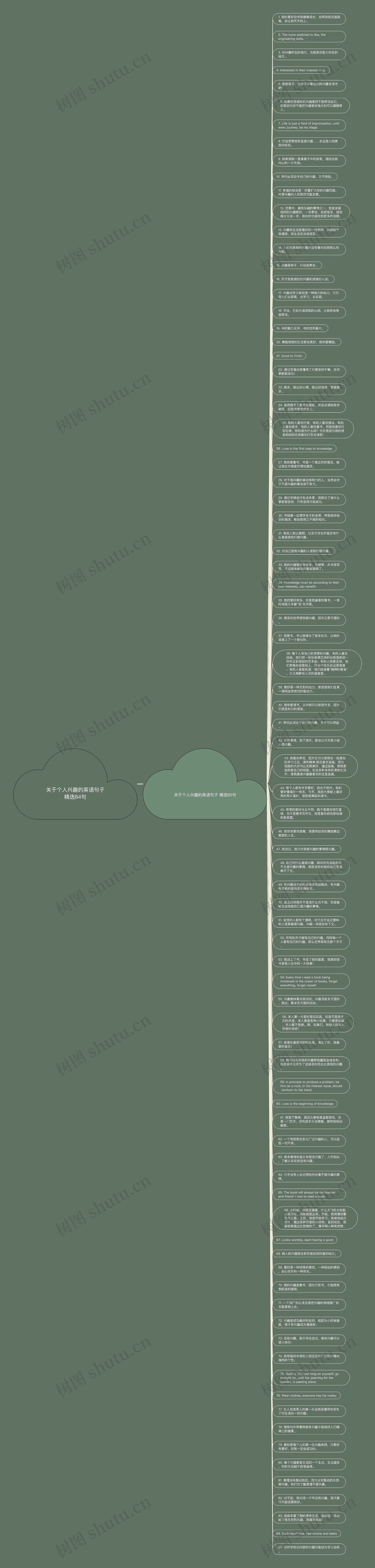 关于个人兴趣的英语句子精选84句思维导图