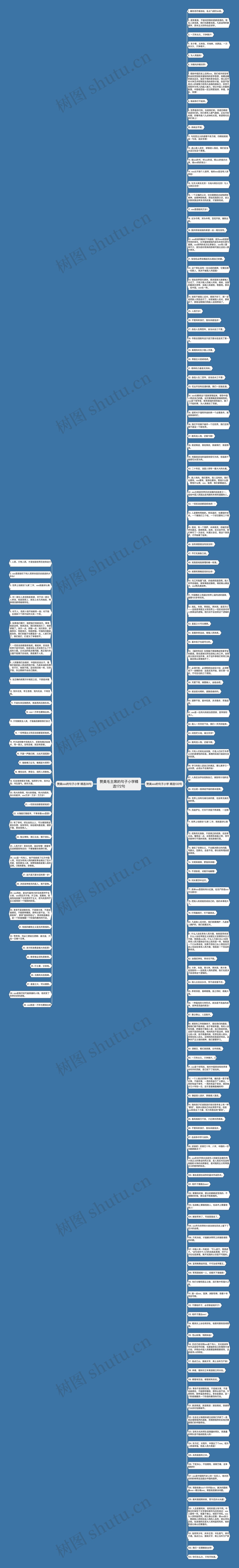 赞美毛主席的句子小学精选172句