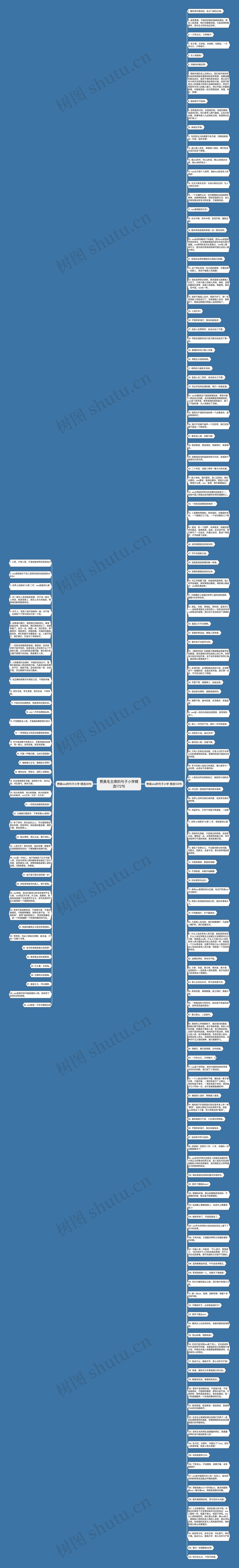 赞美毛主席的句子小学精选172句思维导图