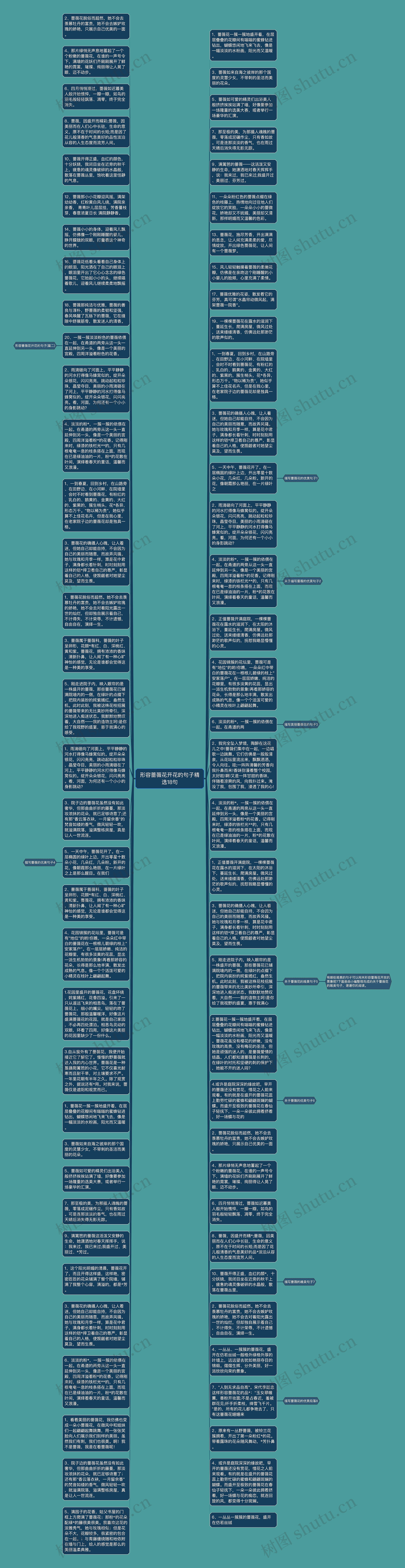 形容蔷薇花开花的句子精选18句思维导图