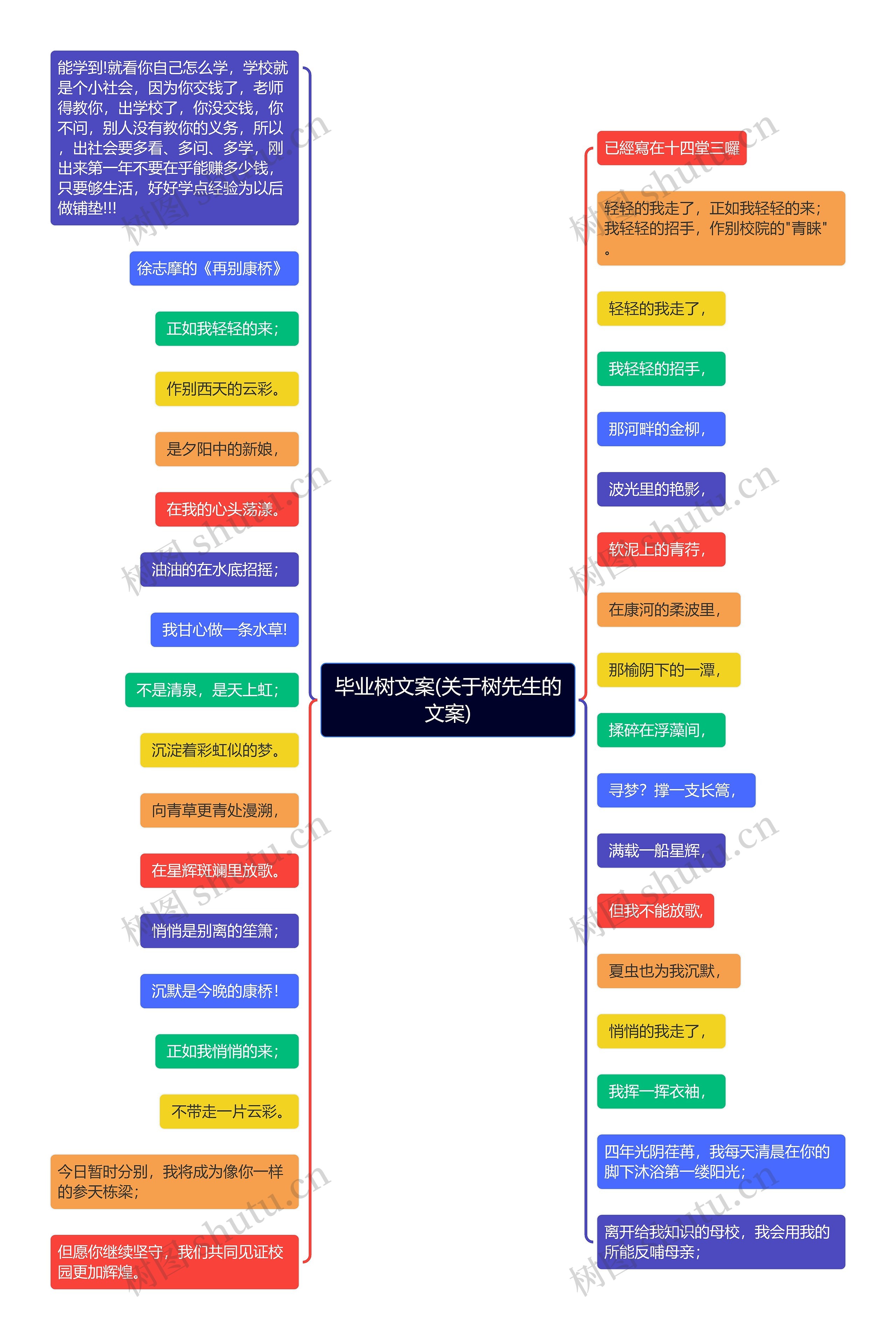 毕业树文案(关于树先生的文案)思维导图