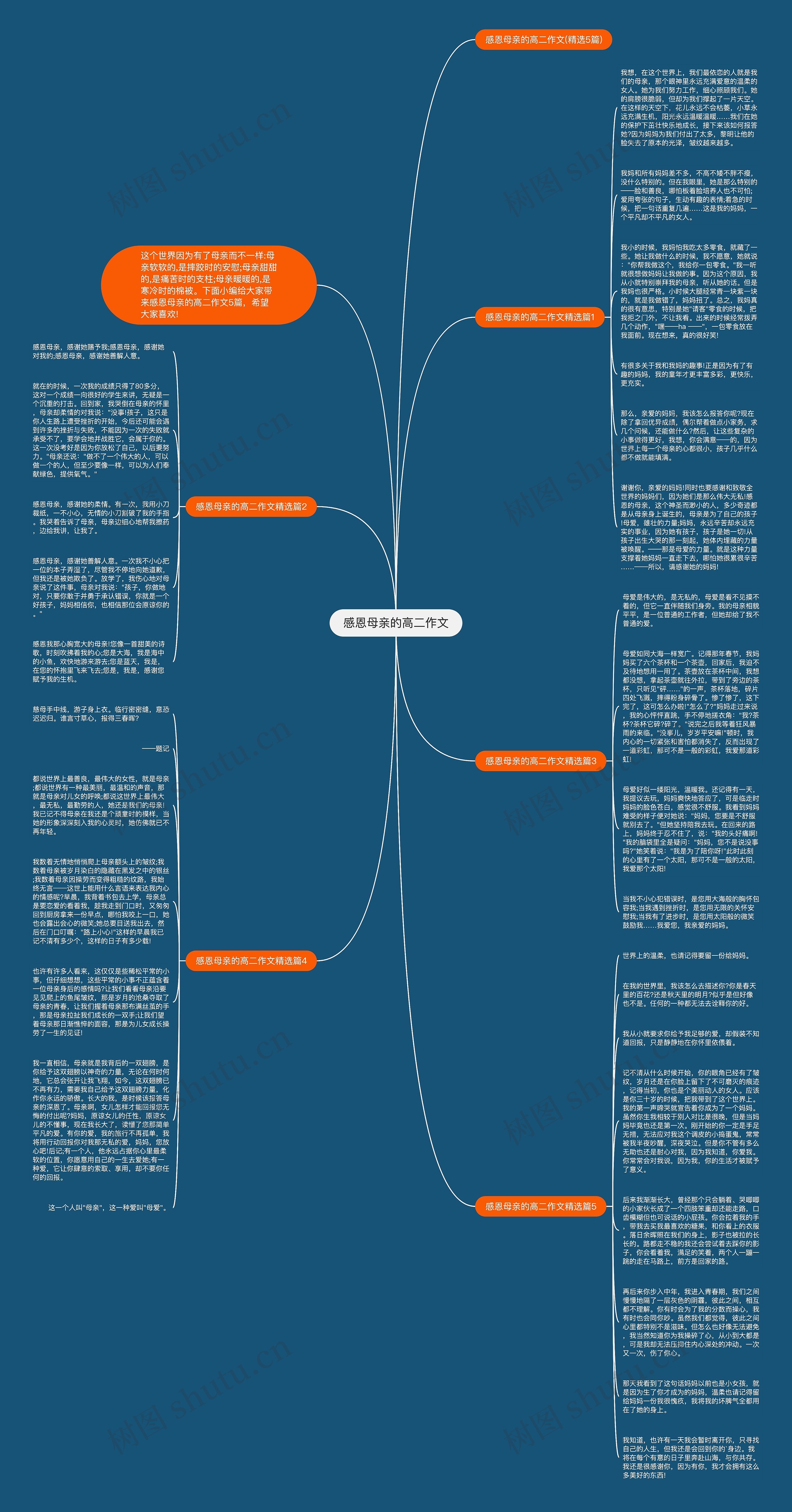感恩母亲的高二作文思维导图