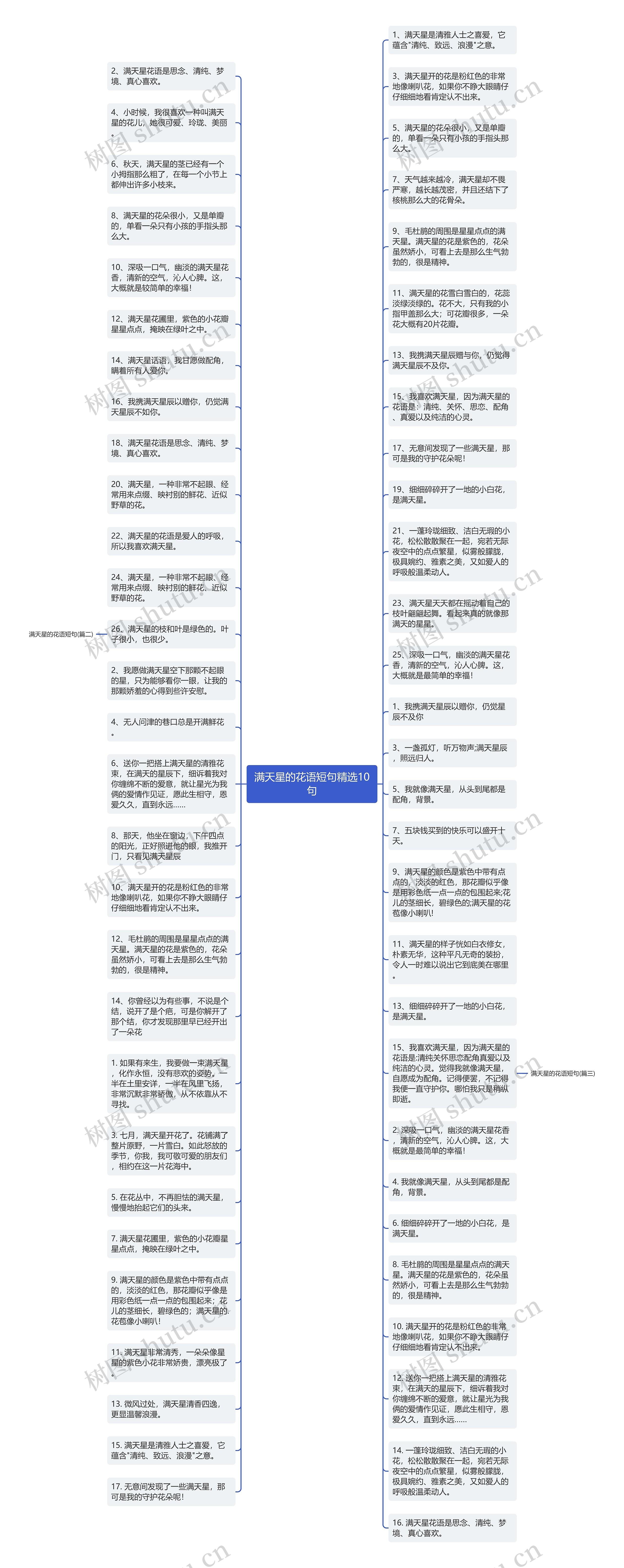 满天星的花语短句精选10句思维导图